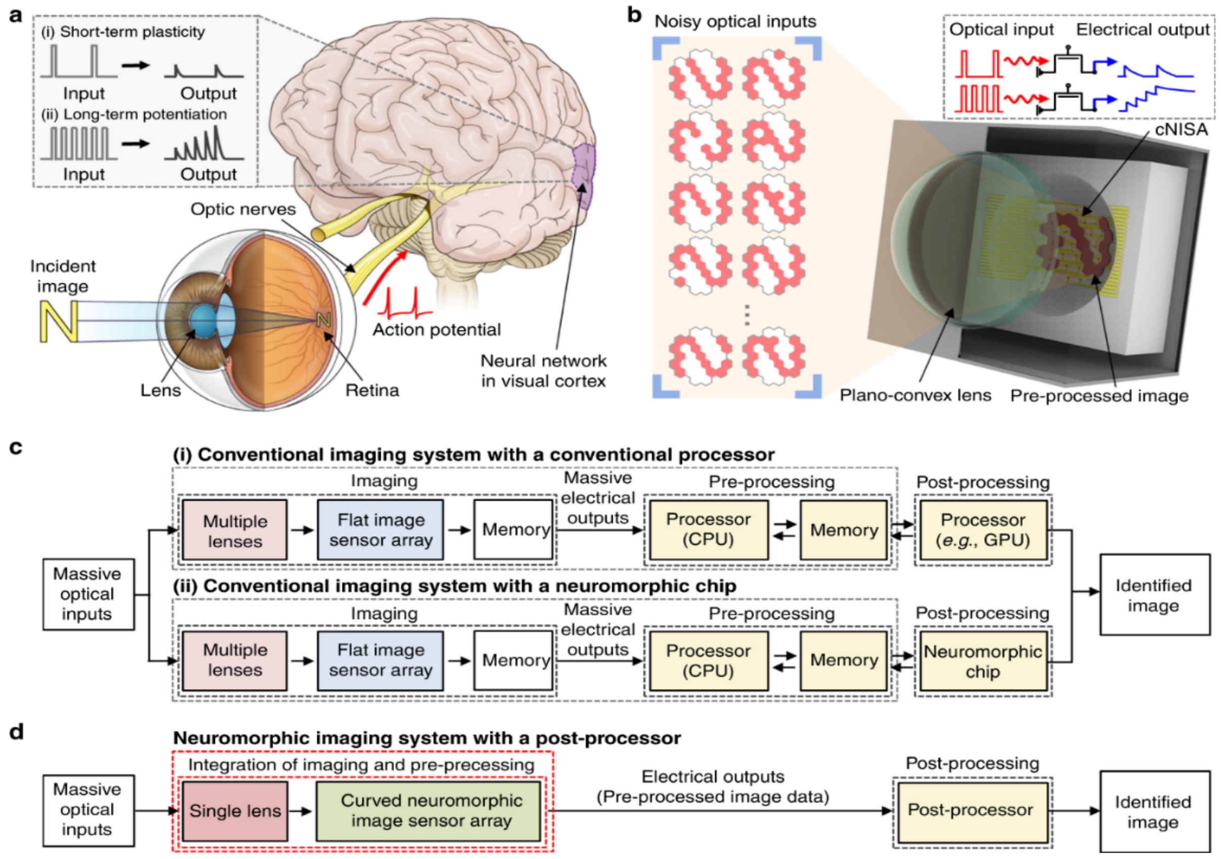 Crystals 11 00355 g003 Crystals 11 00355 g003