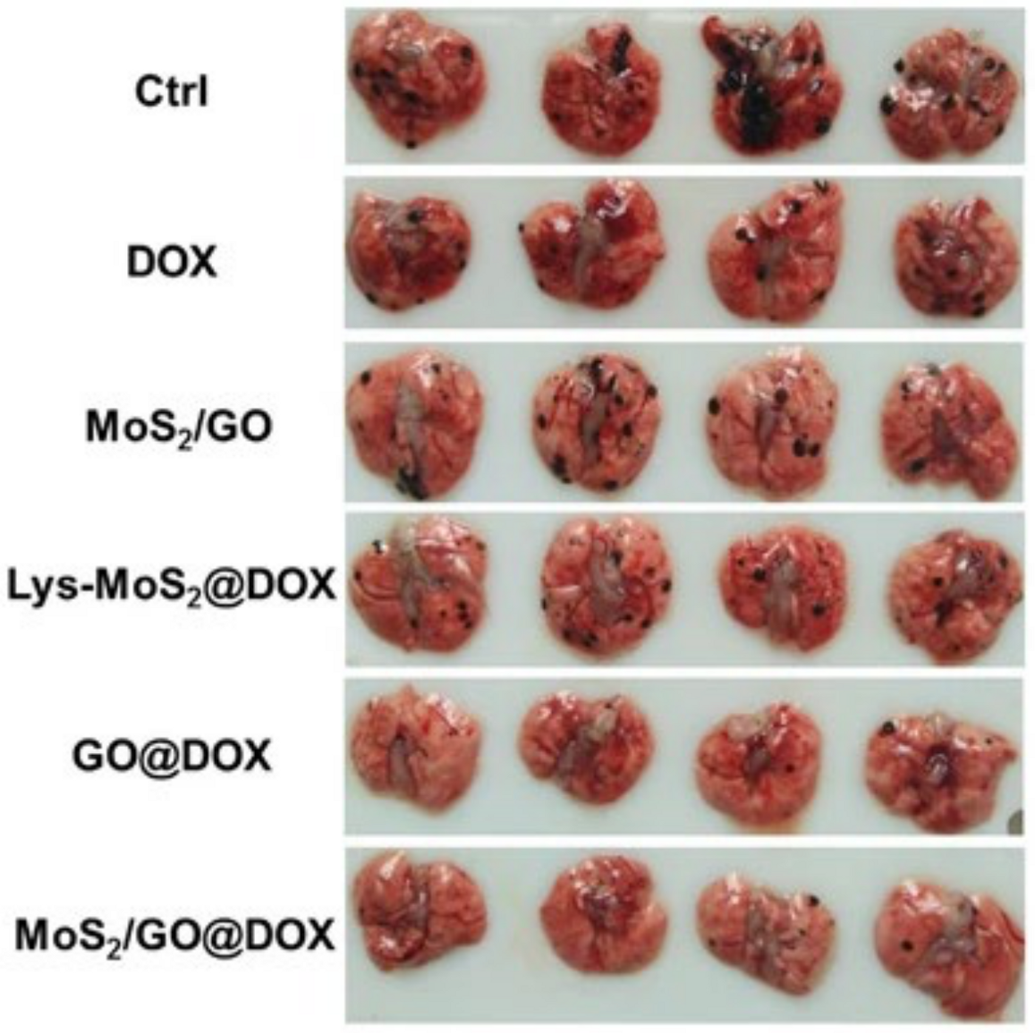 Crystals 11 00355 g004 Crystals 11 00355 g004