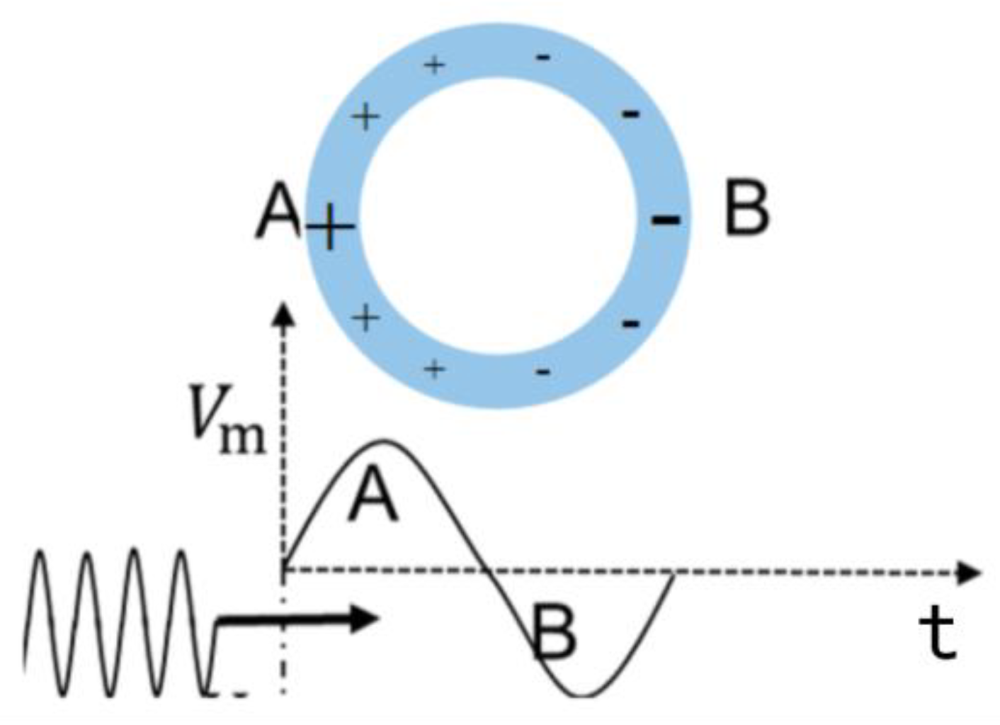 Crystals 11 00359 g008