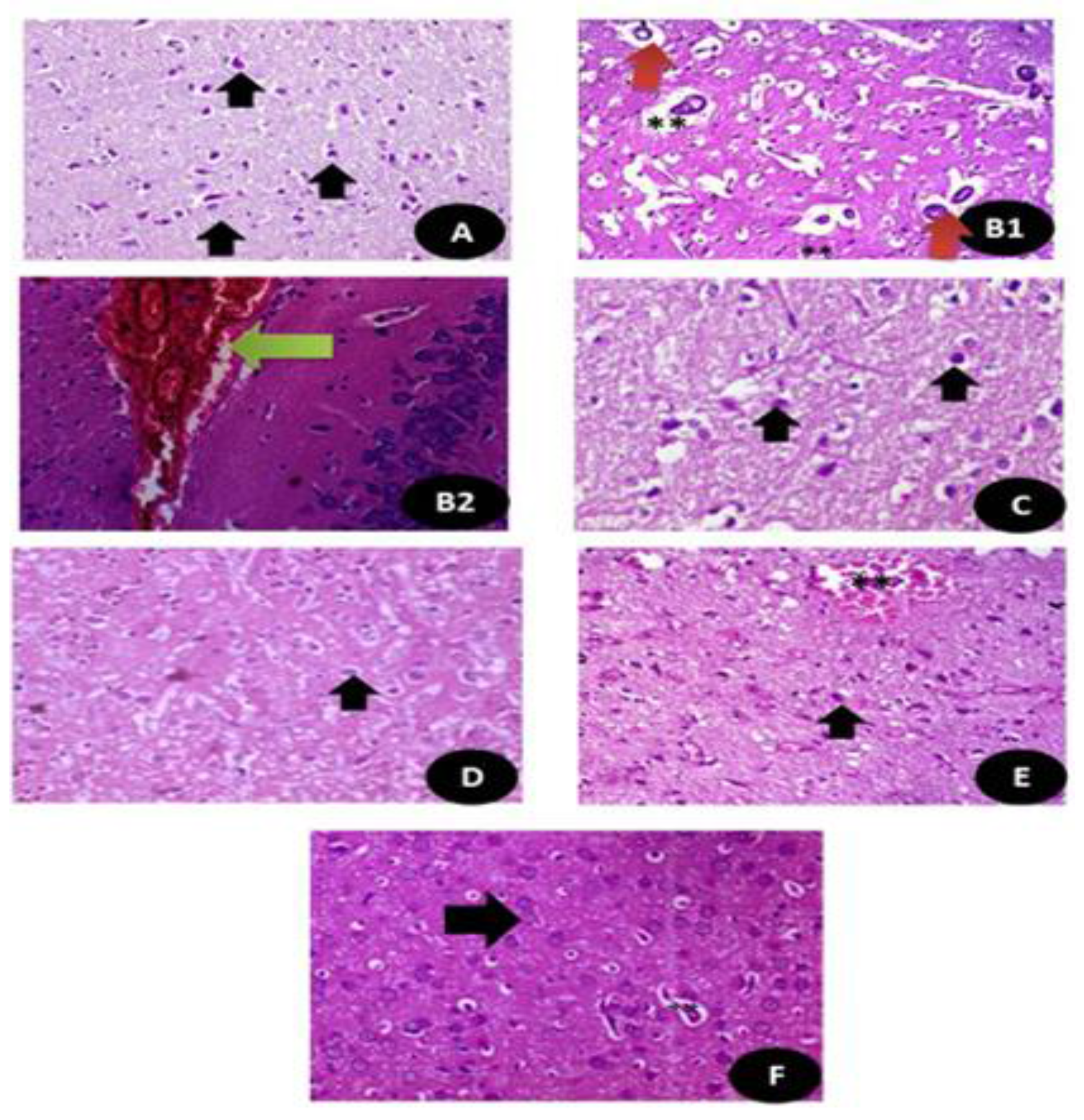 Crystals 11 00367 g014 Crystals 11 00367 g014