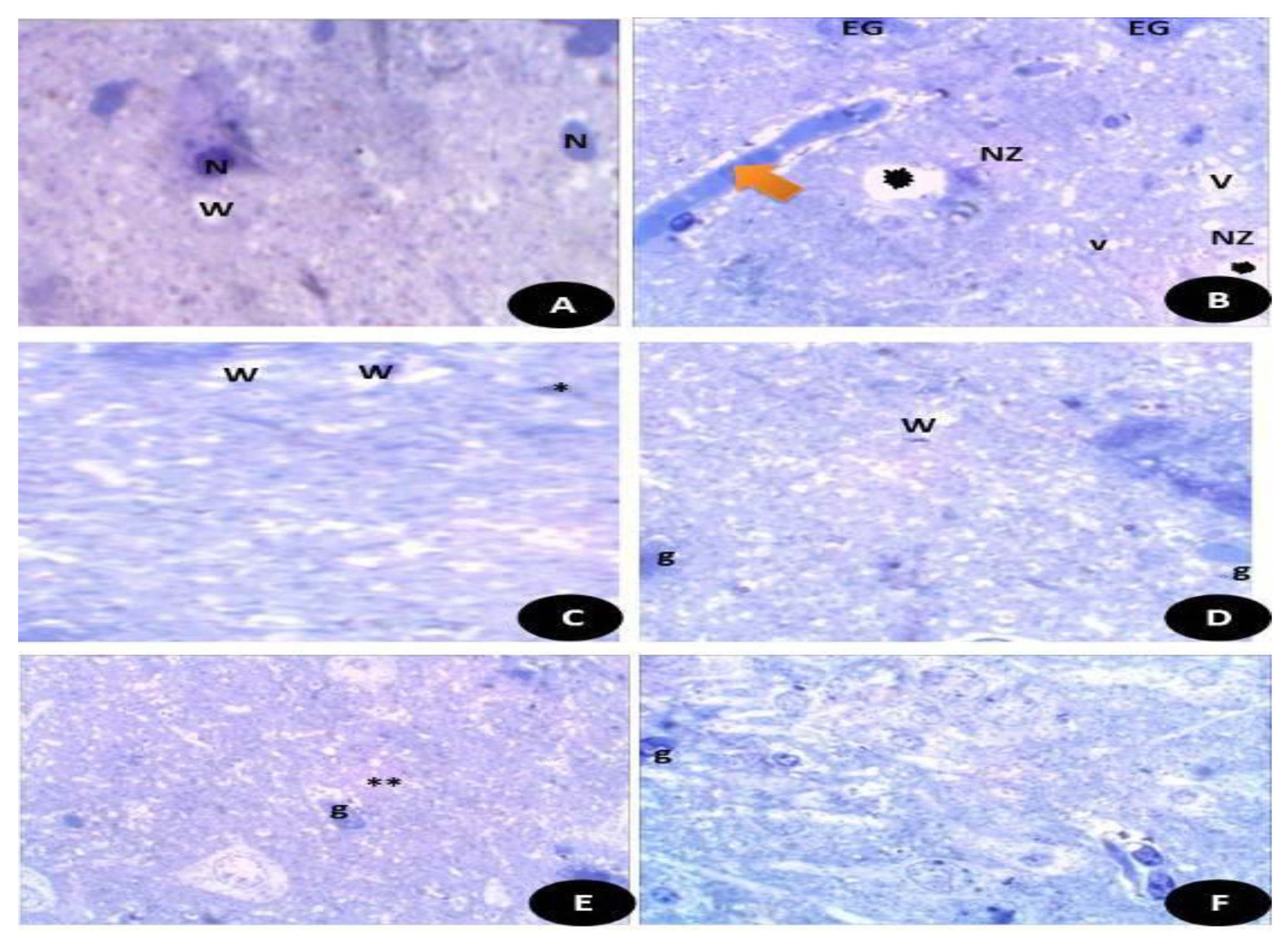 Crystals 11 00367 g015 Crystals 11 00367 g015