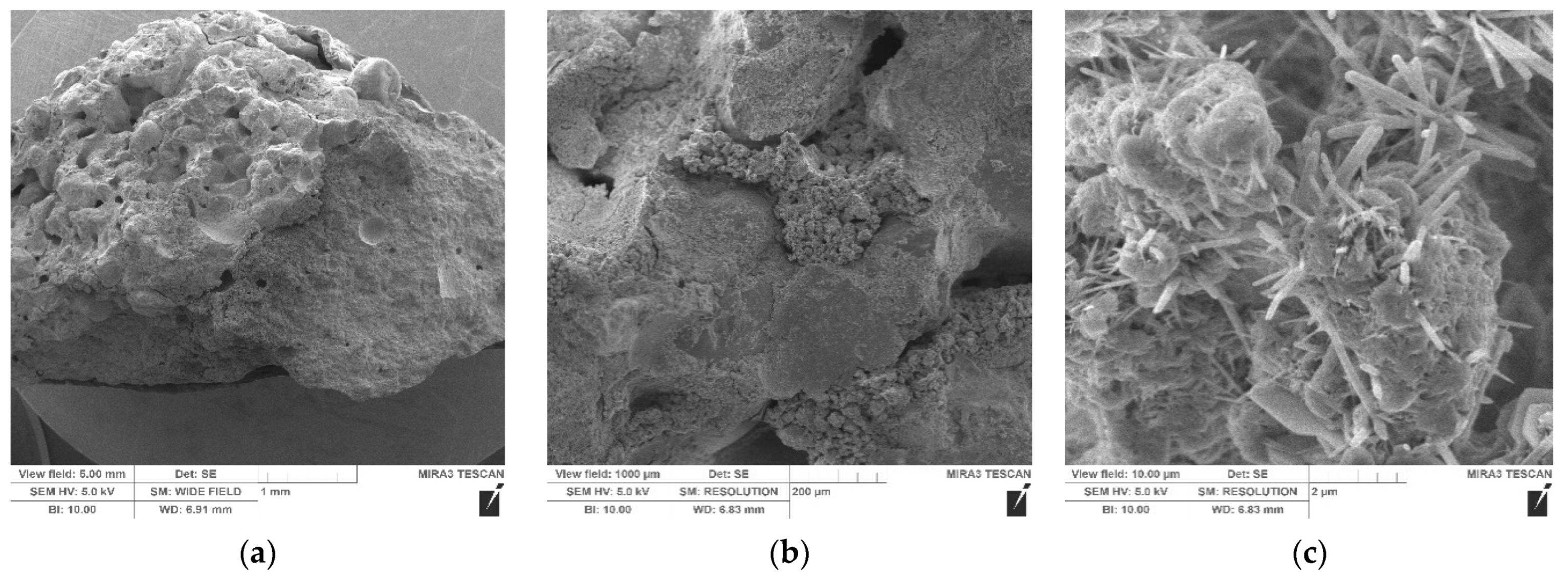 Crystals 11 00369 g004 Crystals 11 00369 g004