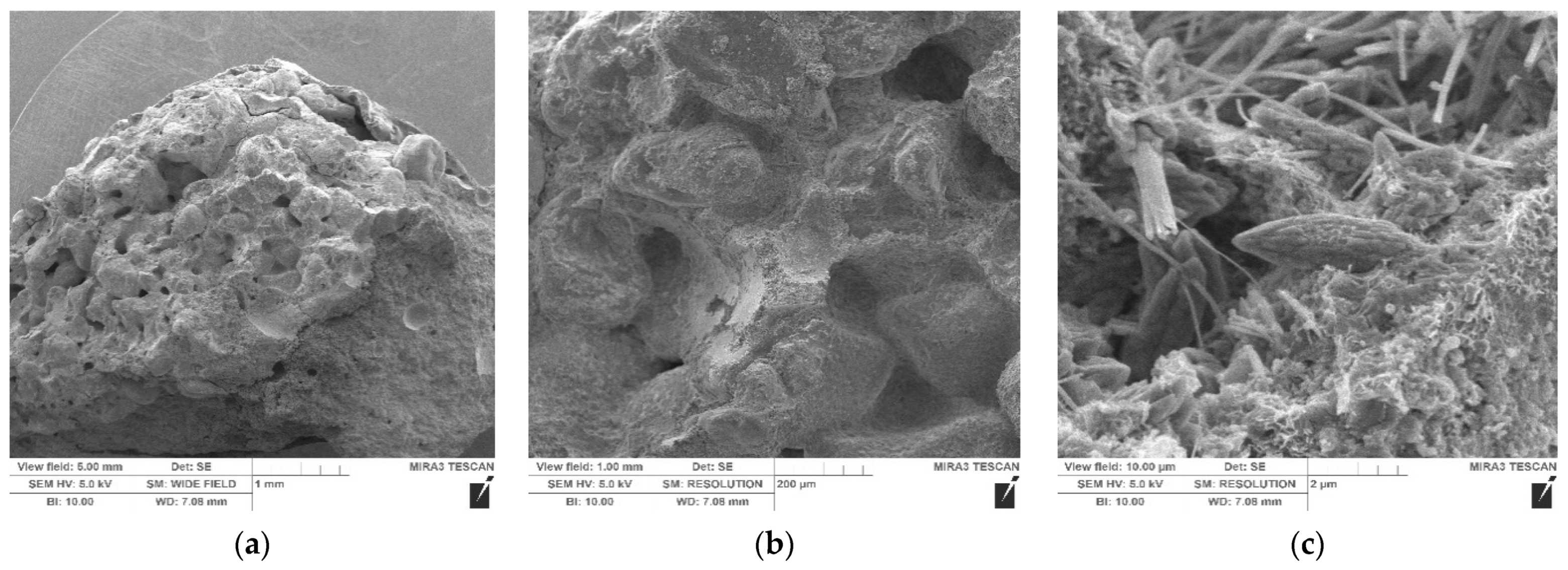 Crystals 11 00369 g005 Crystals 11 00369 g005