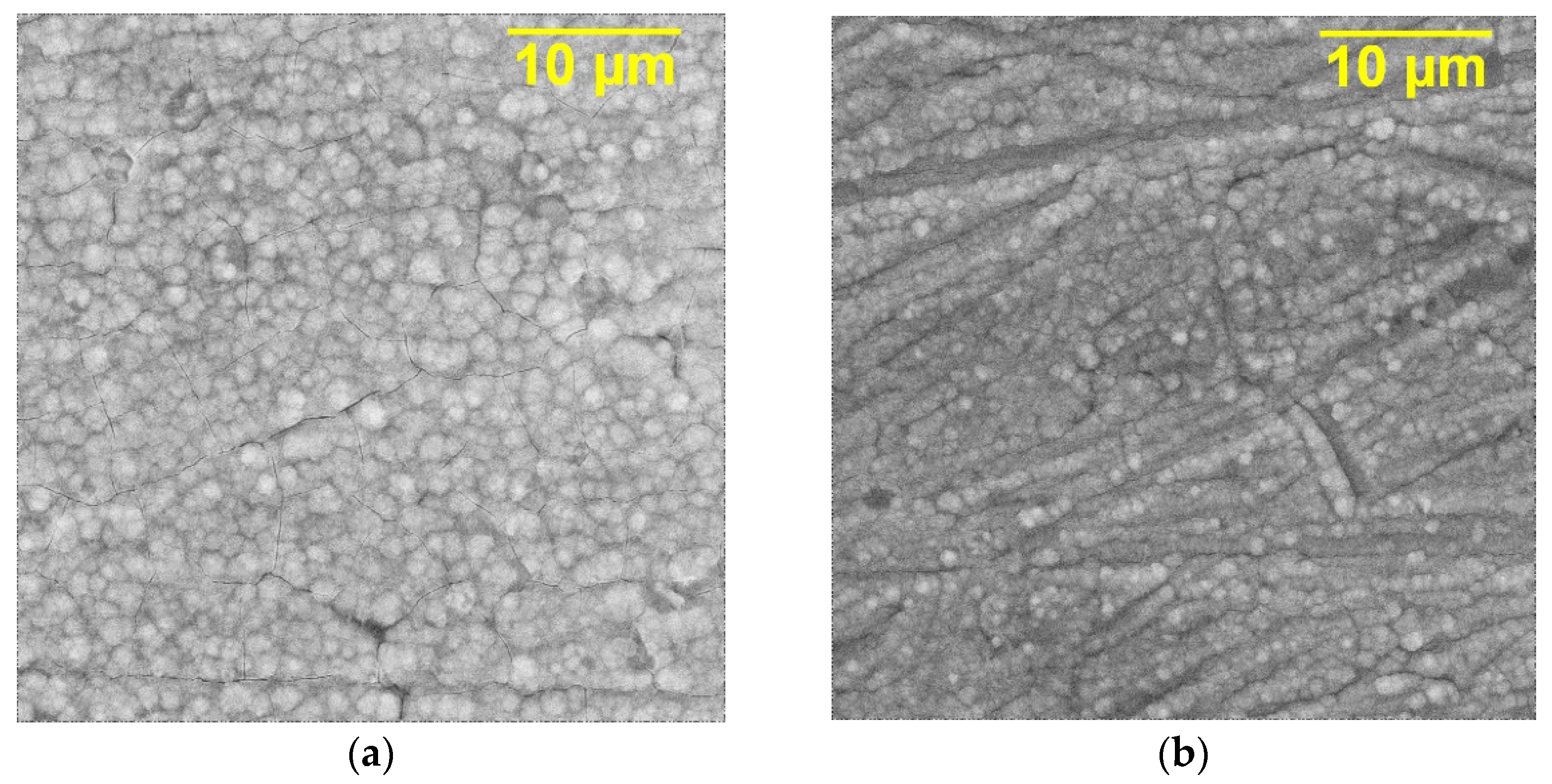 Crystals 11 00415 g003 Crystals 11 00415 g003