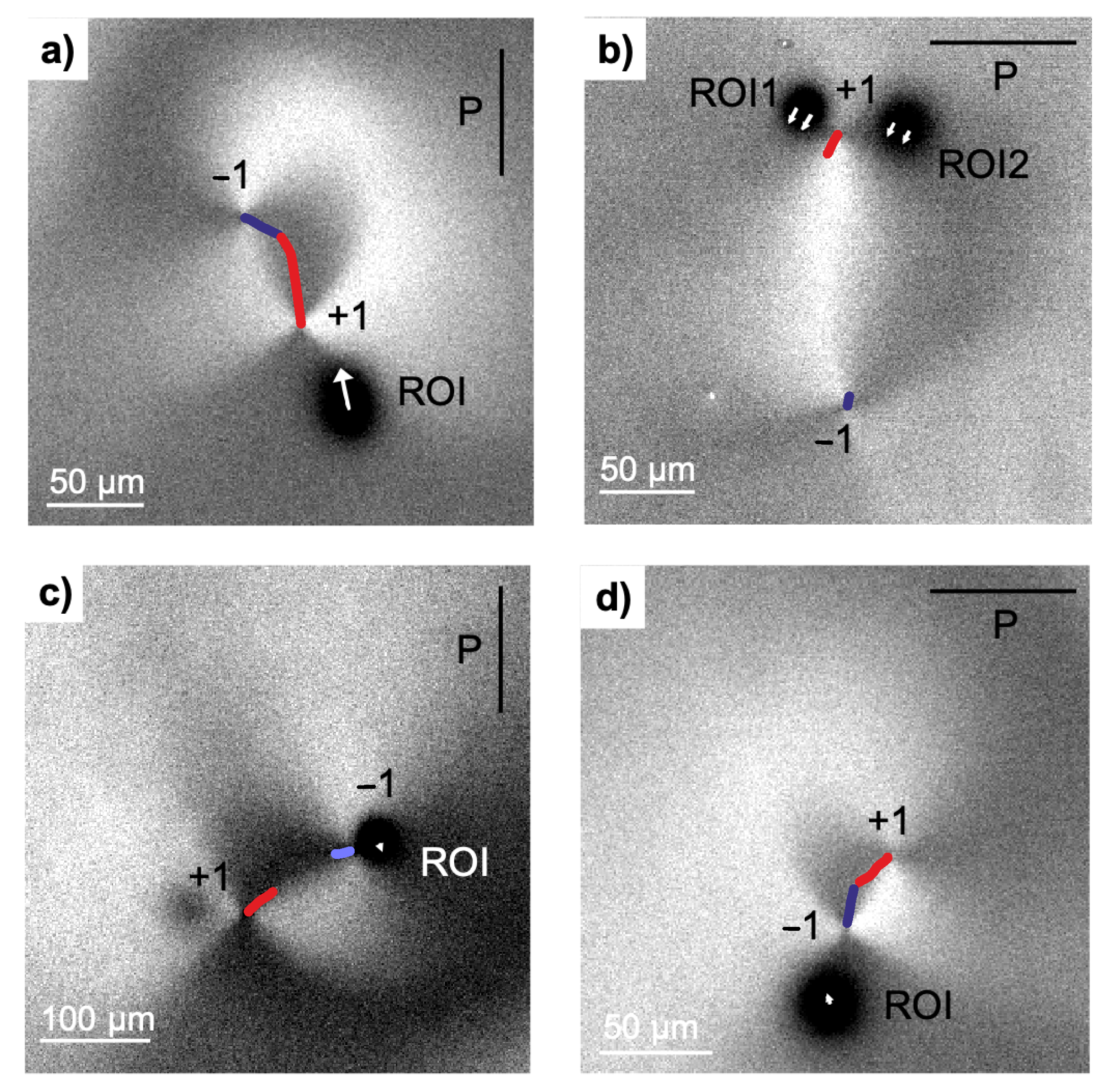Crystals 11 00430 g003