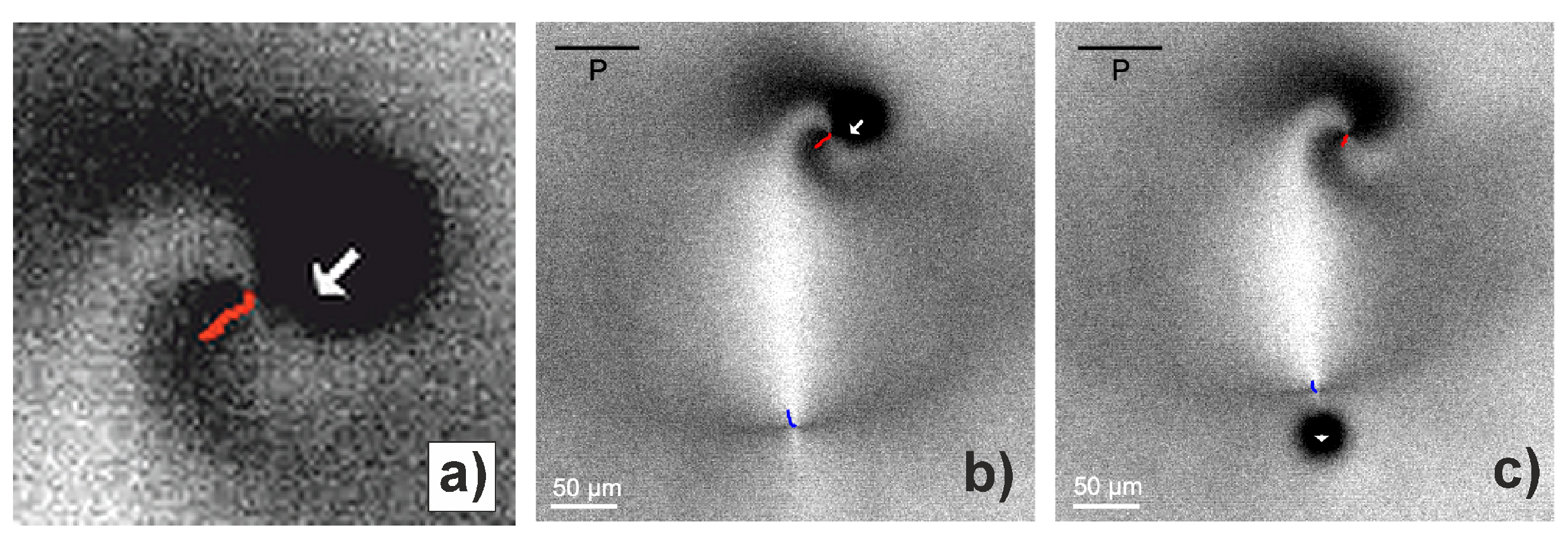 Crystals 11 00430 g005