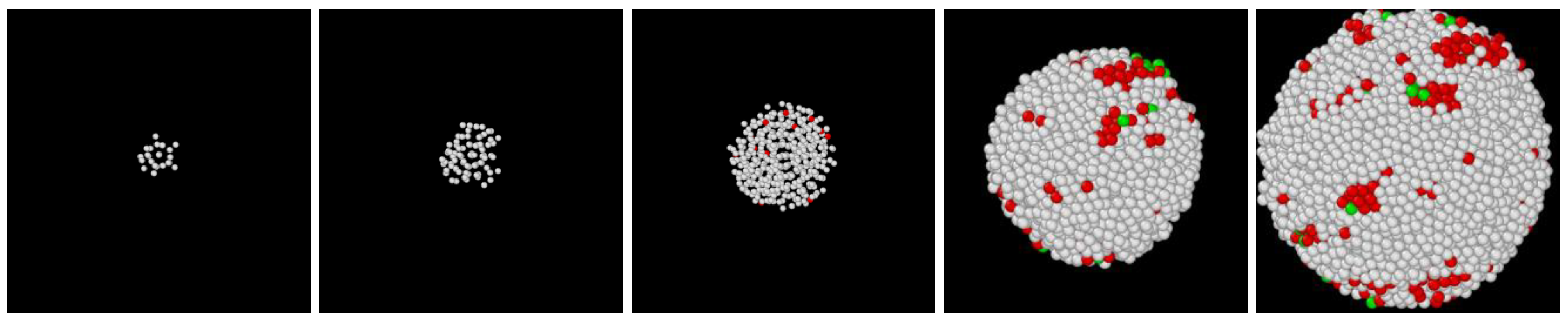 Crystals 11 00437 g007 Crystals 11 00437 g007