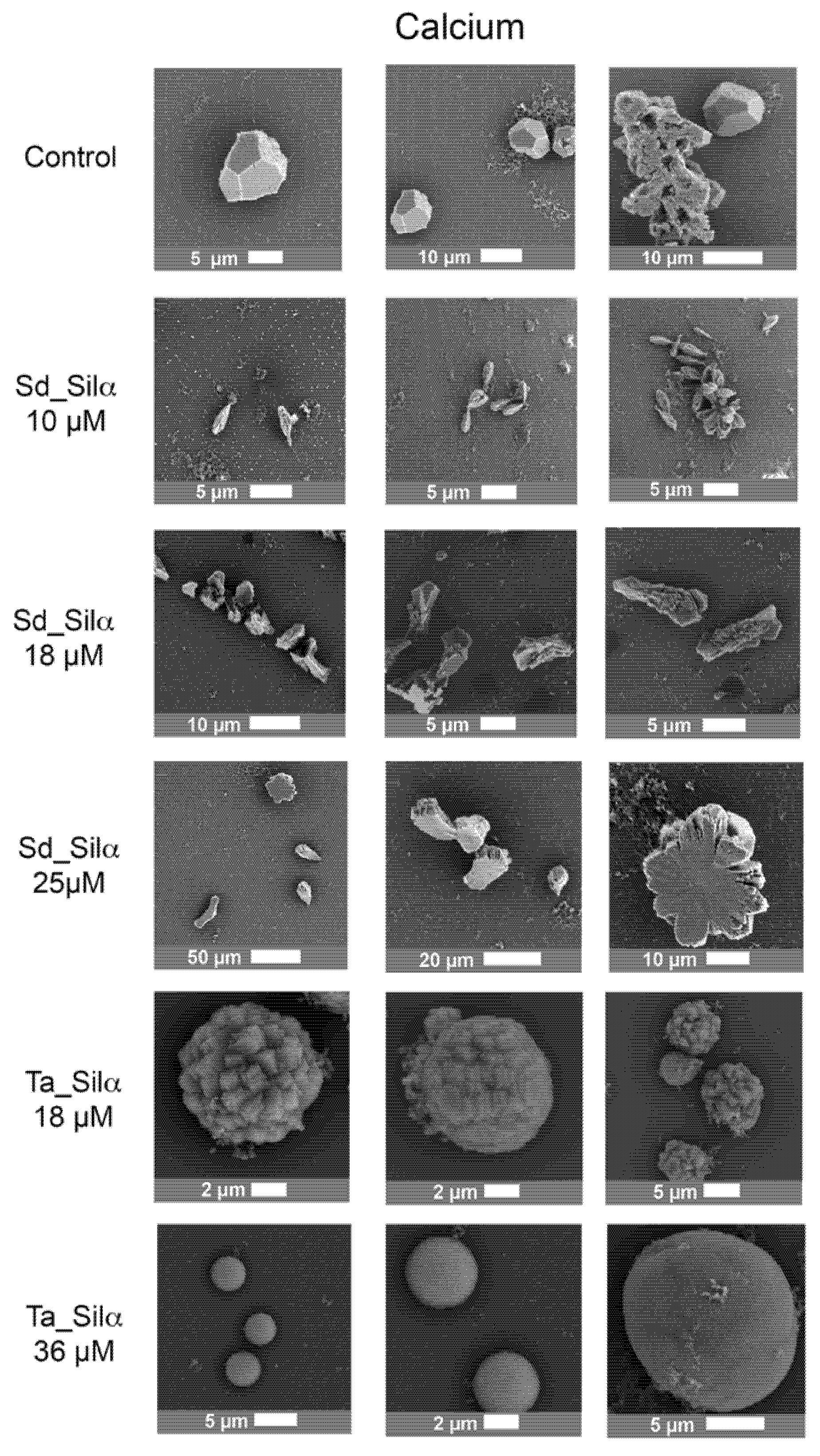 Crystals 11 00438 g003 Crystals 11 00438 g003
