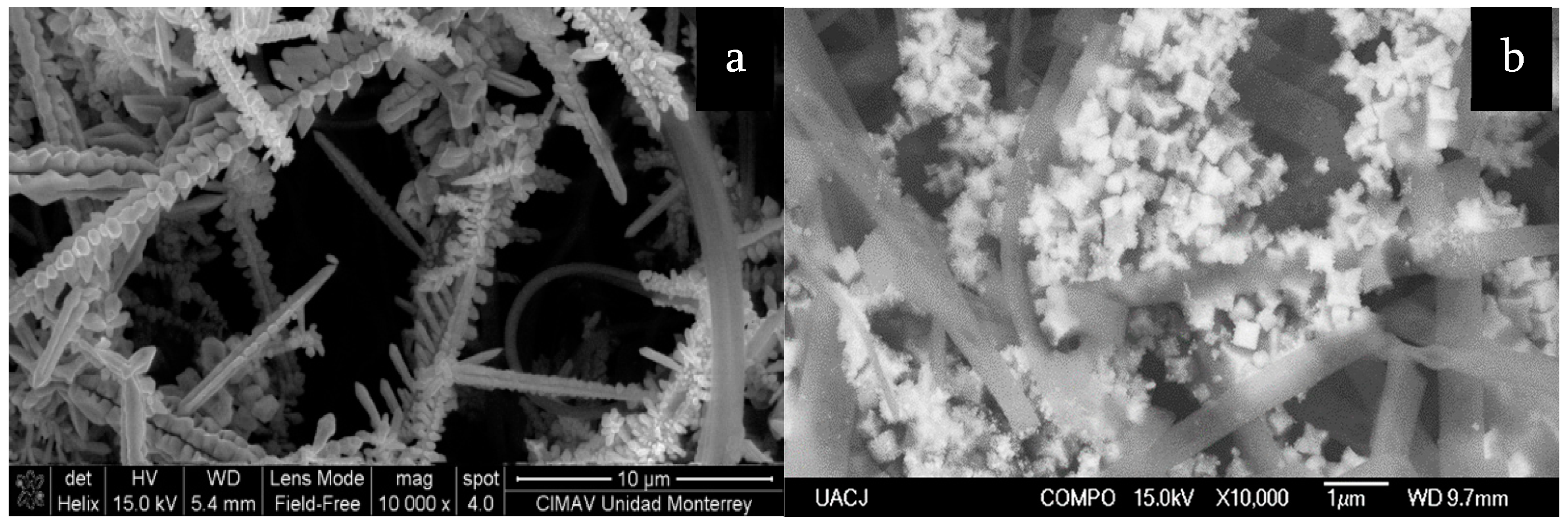 Crystals 11 00439 g007