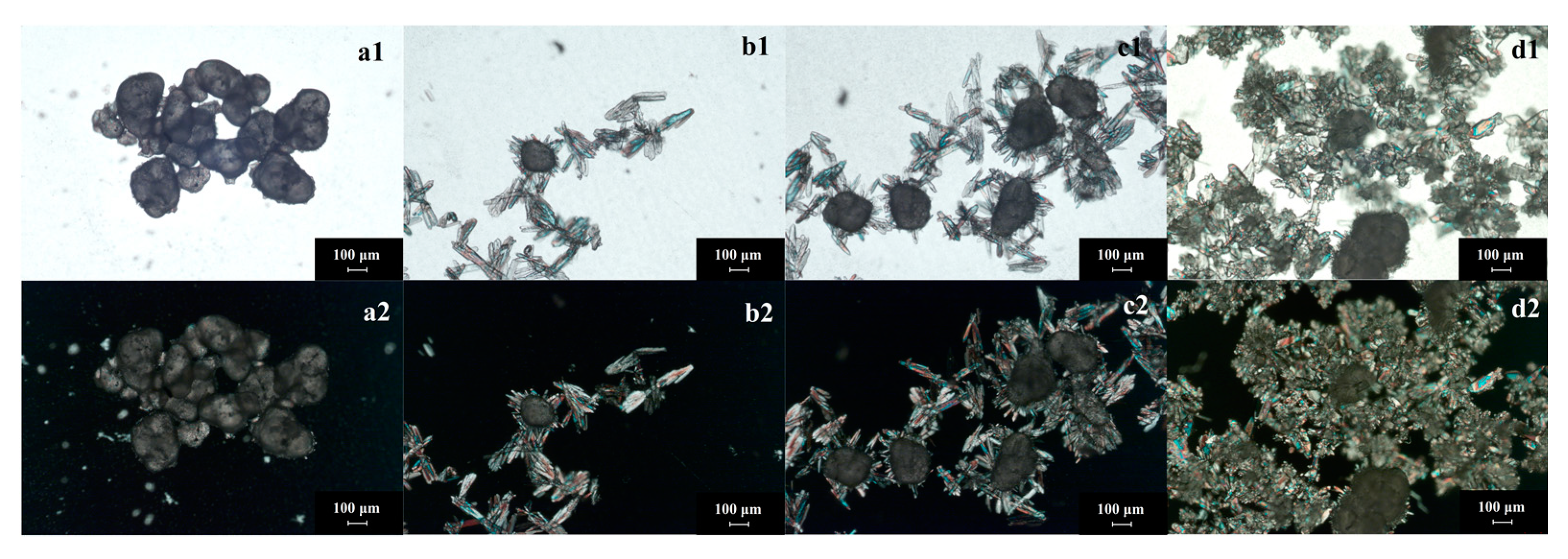 Crystals 11 00449 g007