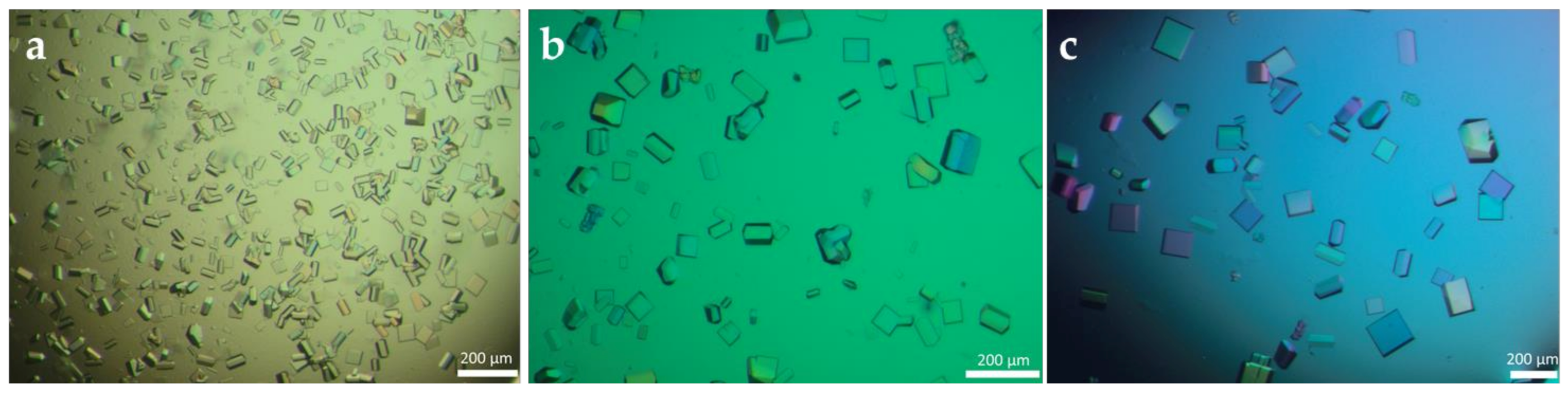 Crystals 11 00451 g002 Crystals 11 00451 g002