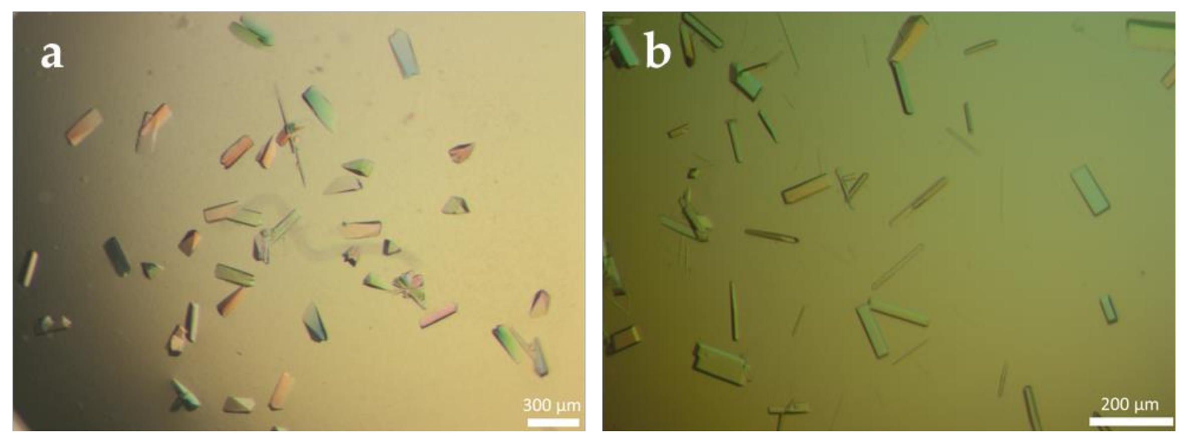 Crystals 11 00451 g003 Crystals 11 00451 g003