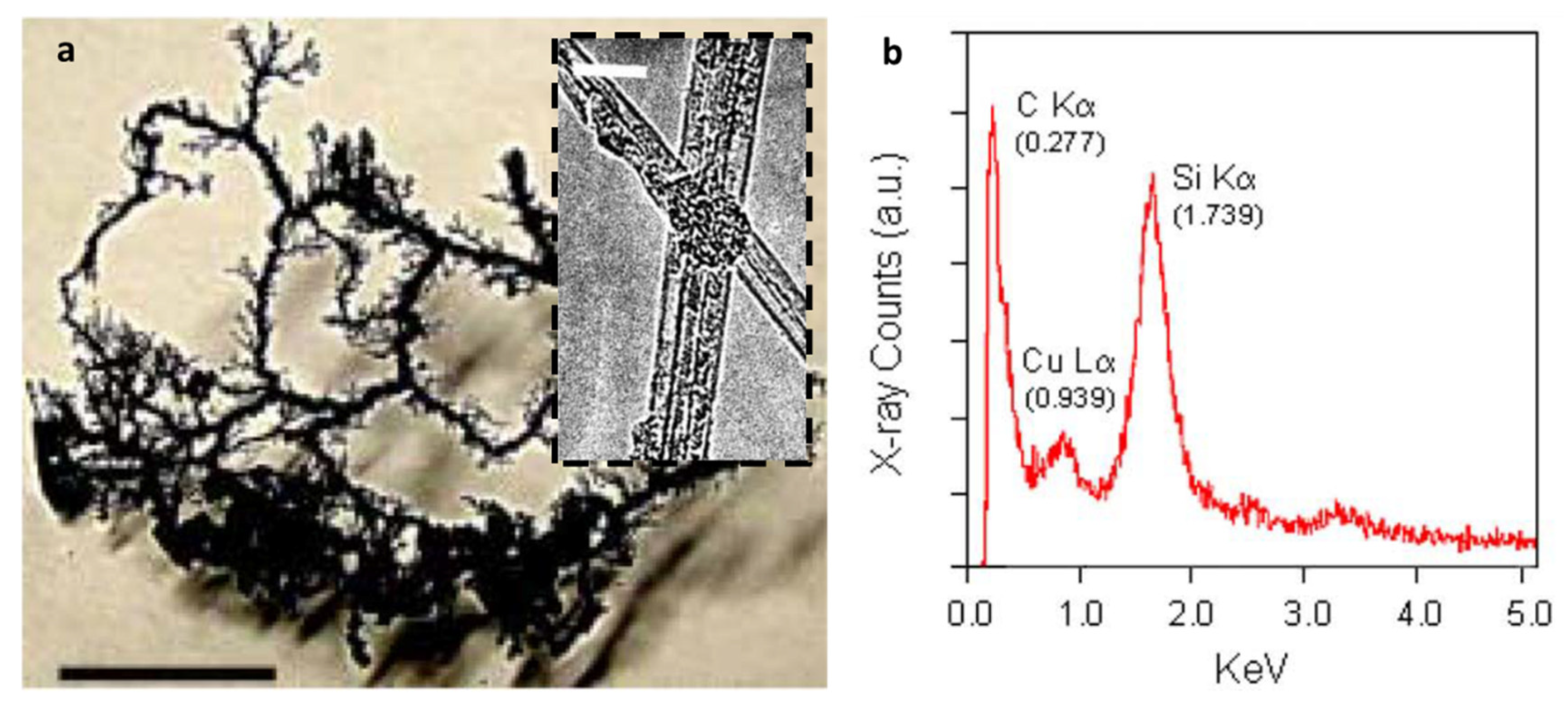 Crystals 11 00457 g014
