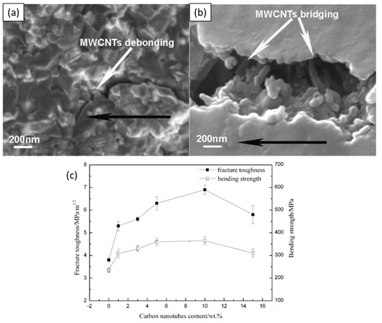 Recent Developments in Carbon Nanotubes-Reinforced Ceramic Matrix ...