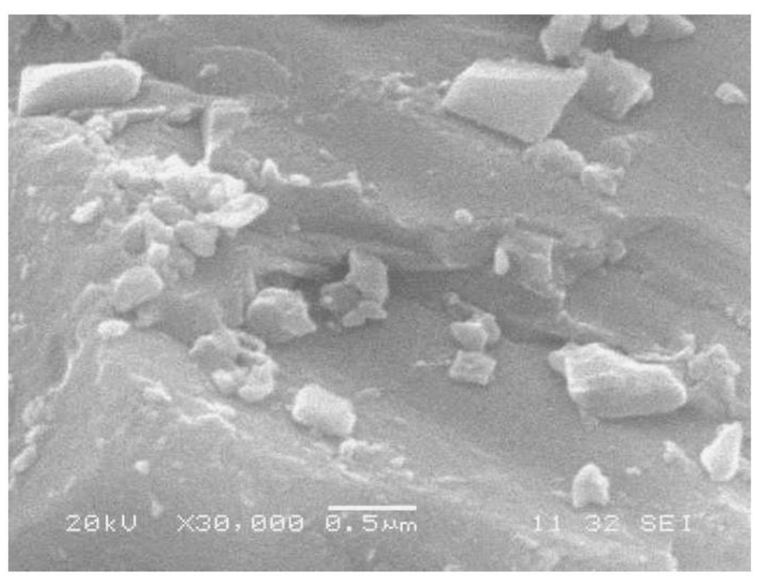 Crystals 11 00484 g004 550