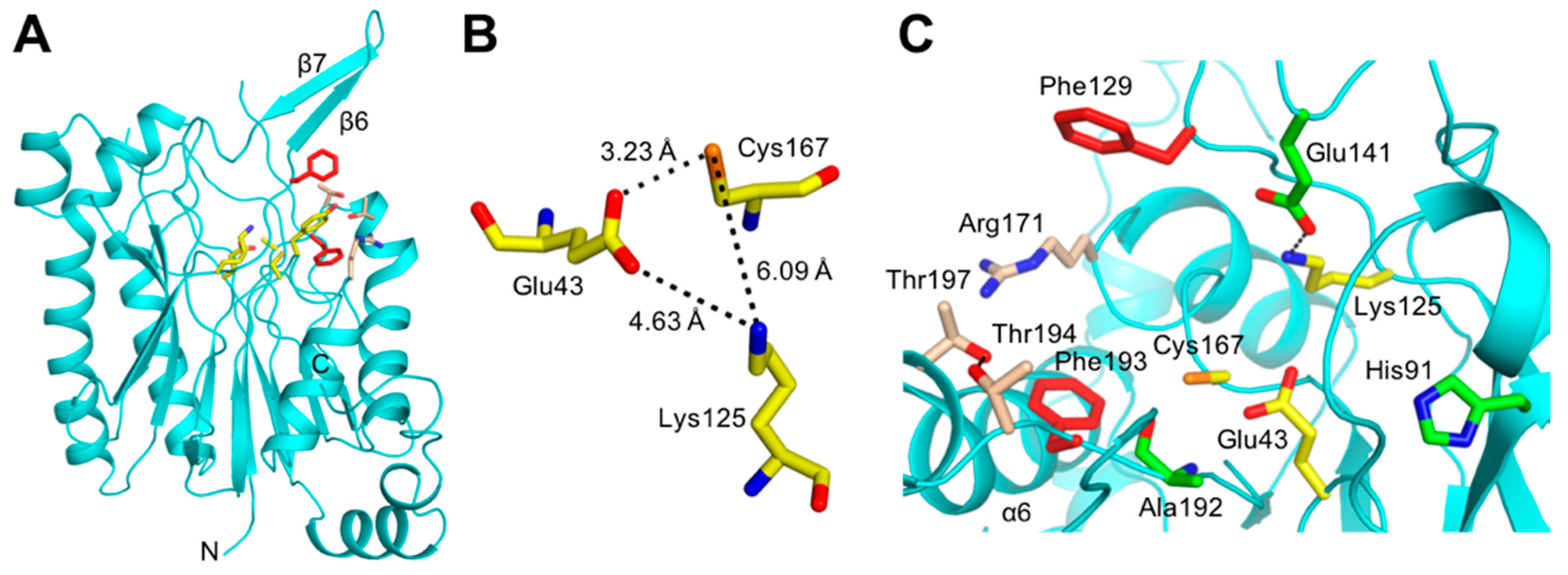 Crystals 11 00499 g002 Crystals 11 00499 g002