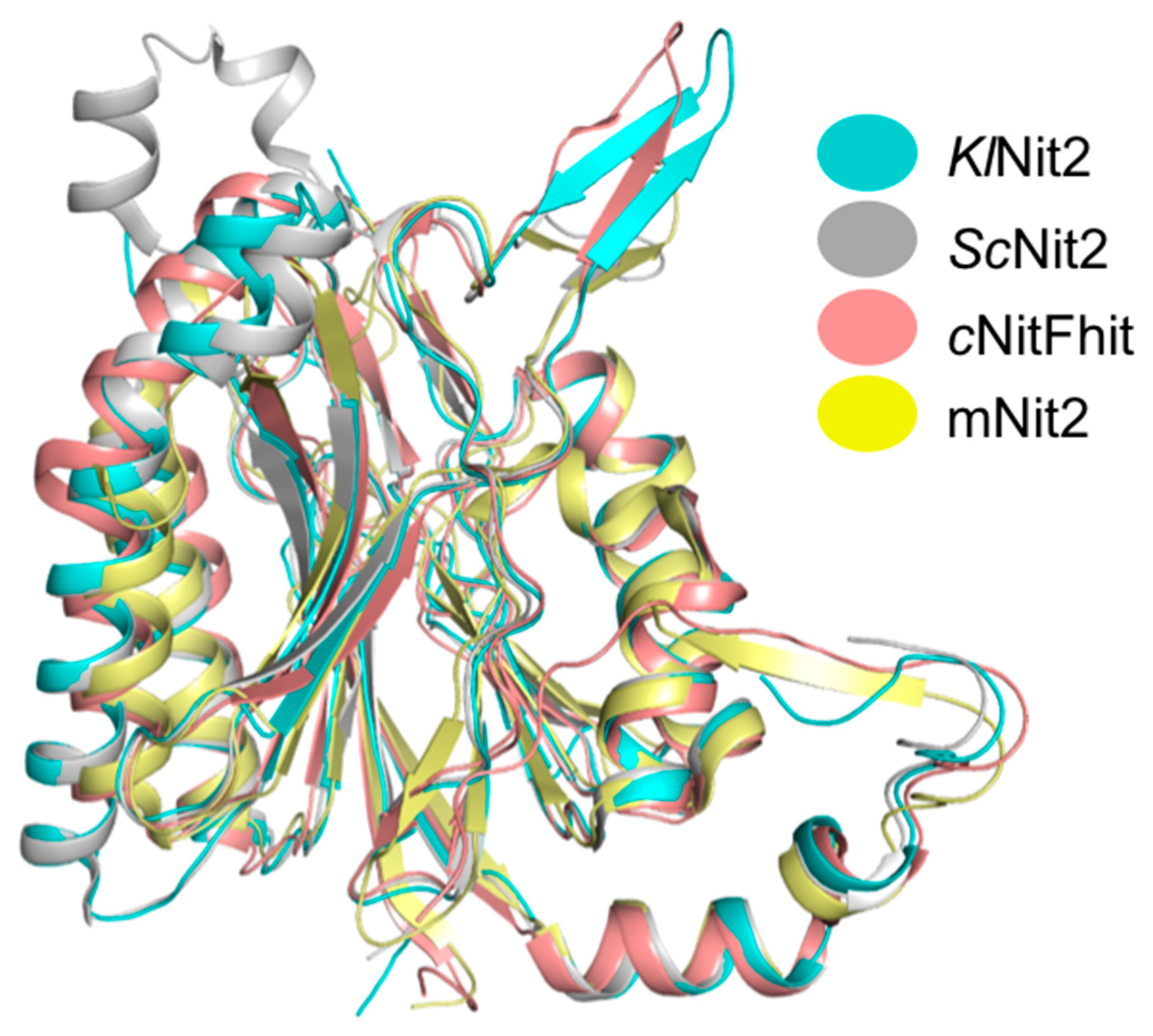 Crystals 11 00499 g004 Crystals 11 00499 g004