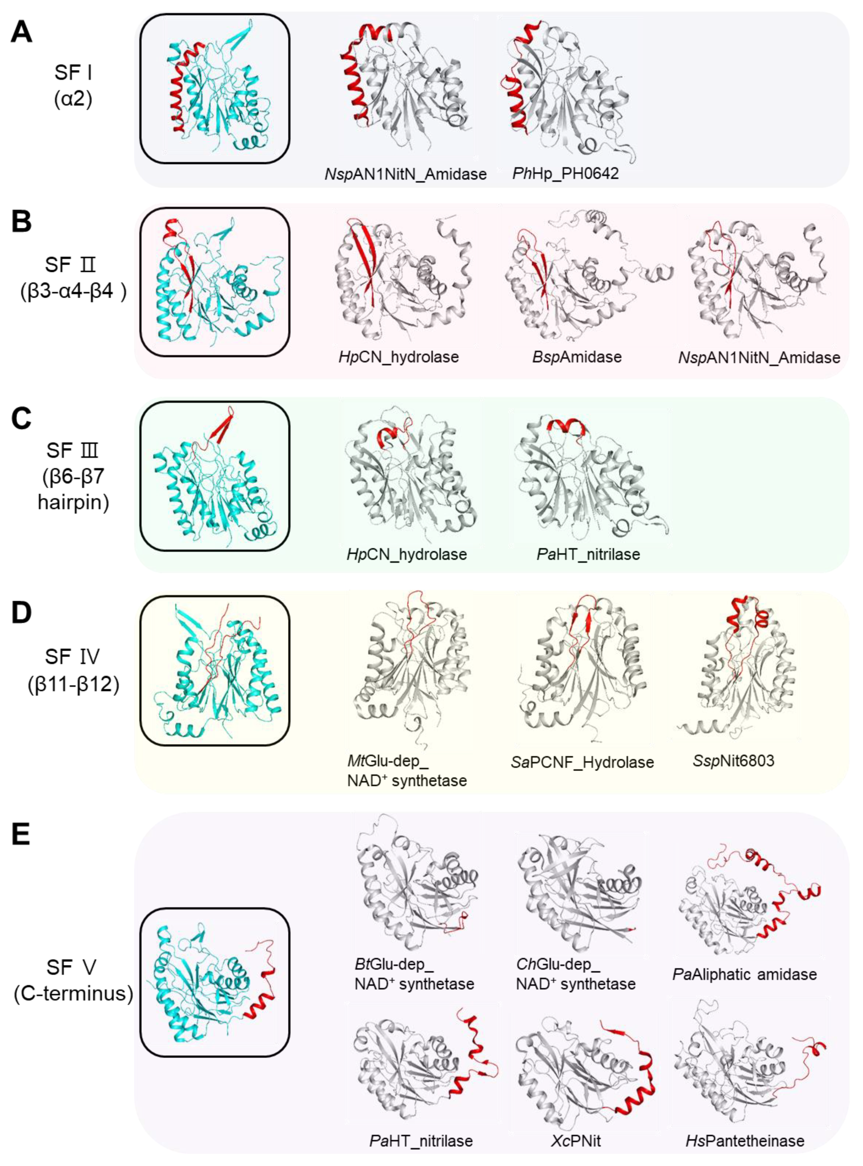 Crystals 11 00499 g008 Crystals 11 00499 g008