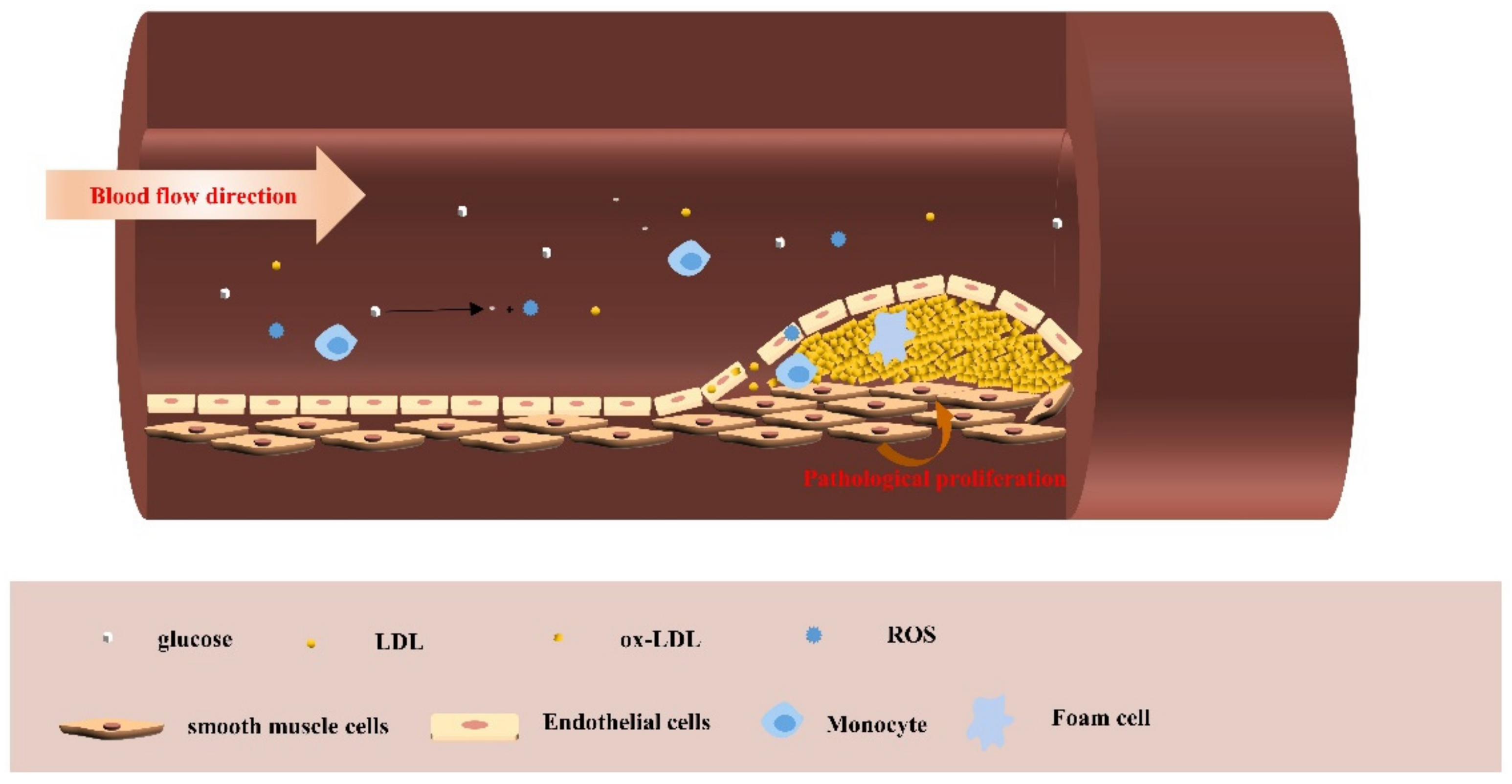 Crystals 11 00505 g002 Crystals 11 00505 g002