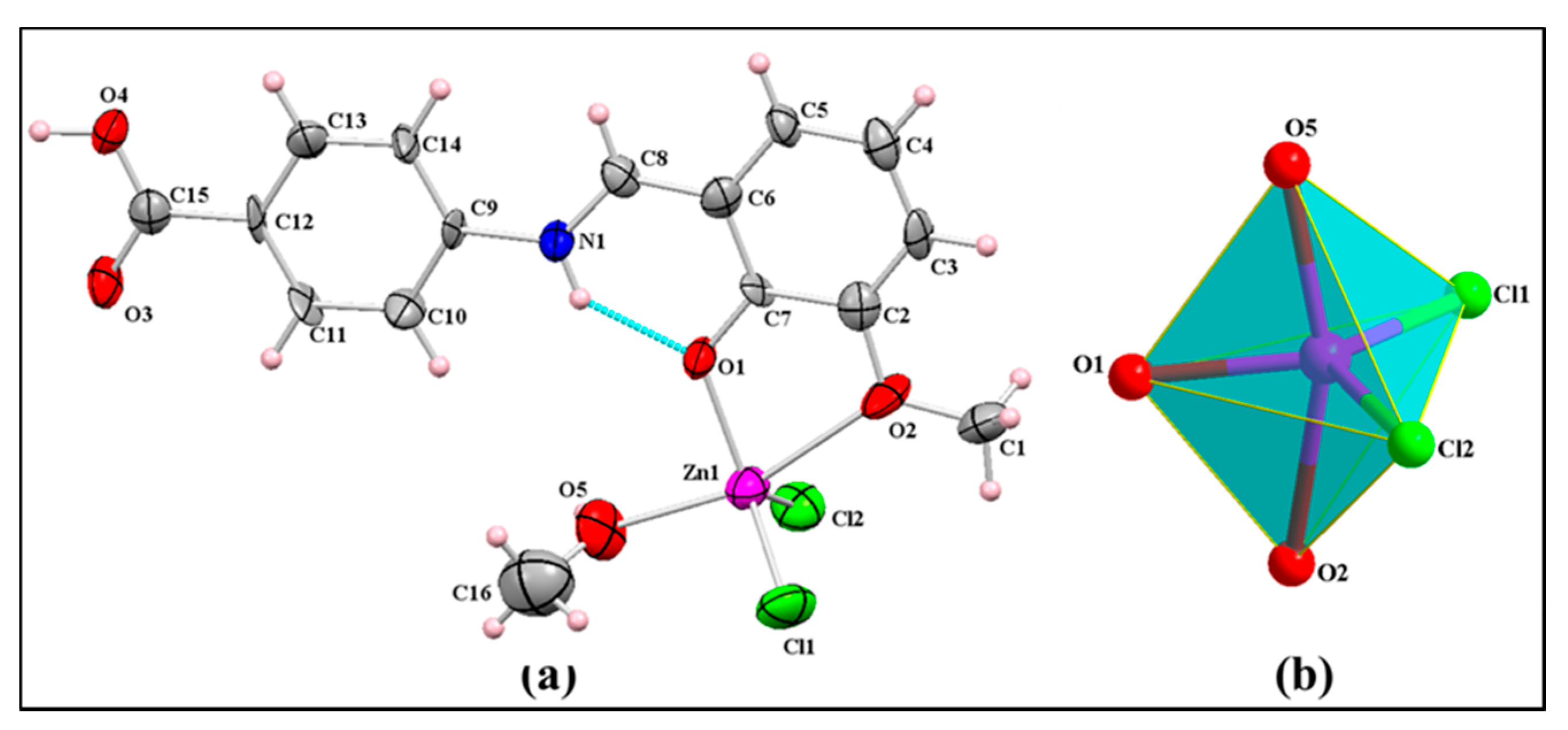 Crystal Structure, Topological and Hirshfeld Surface