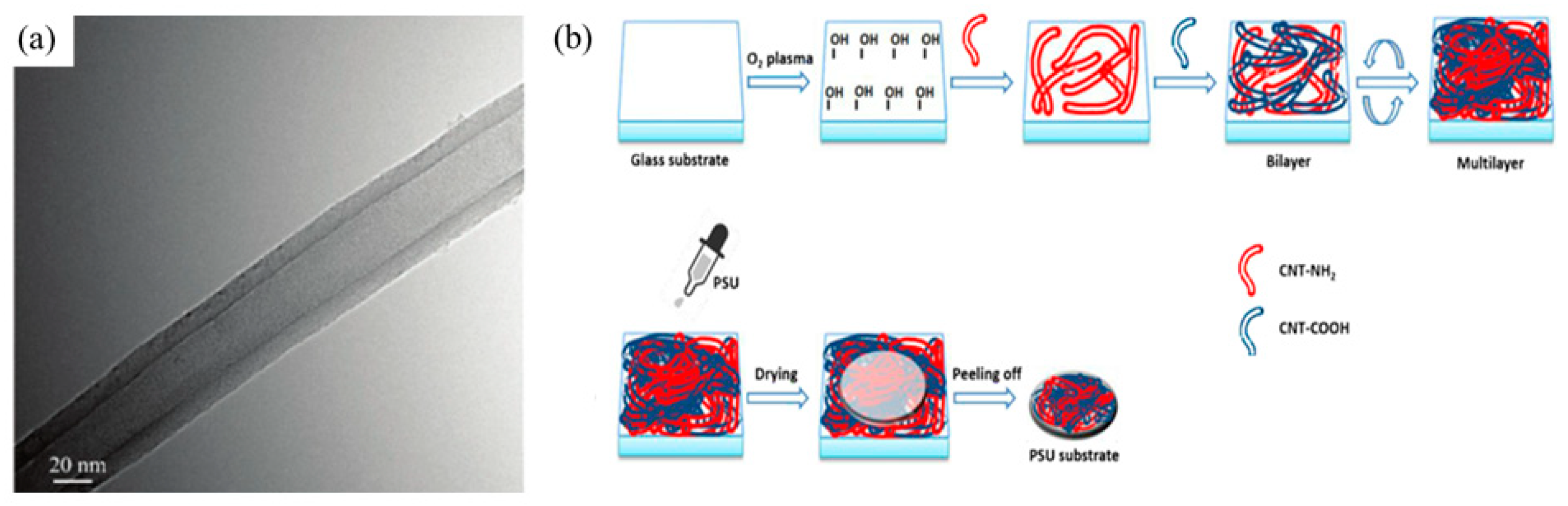 Crystals 11 00511 g005