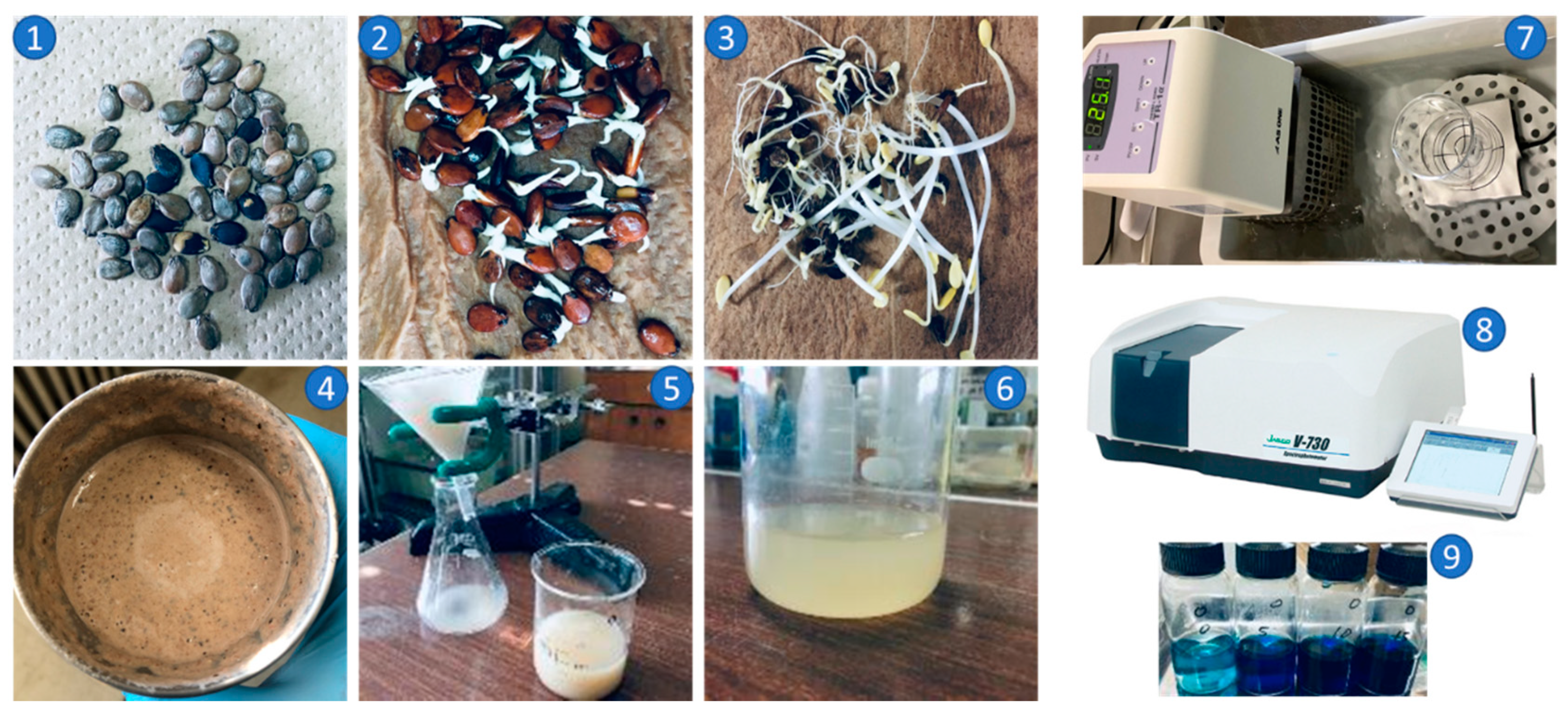 Crystals 11 00516 g001 Crystals 11 00516 g001