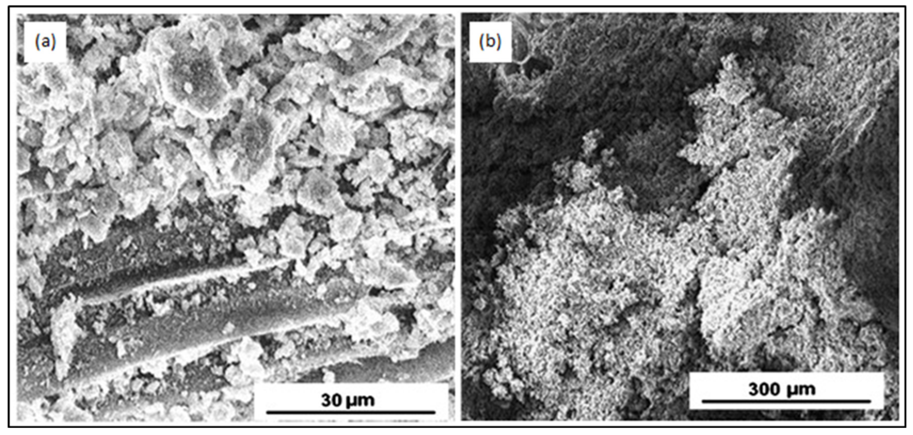 Crystals 11 00527 g002