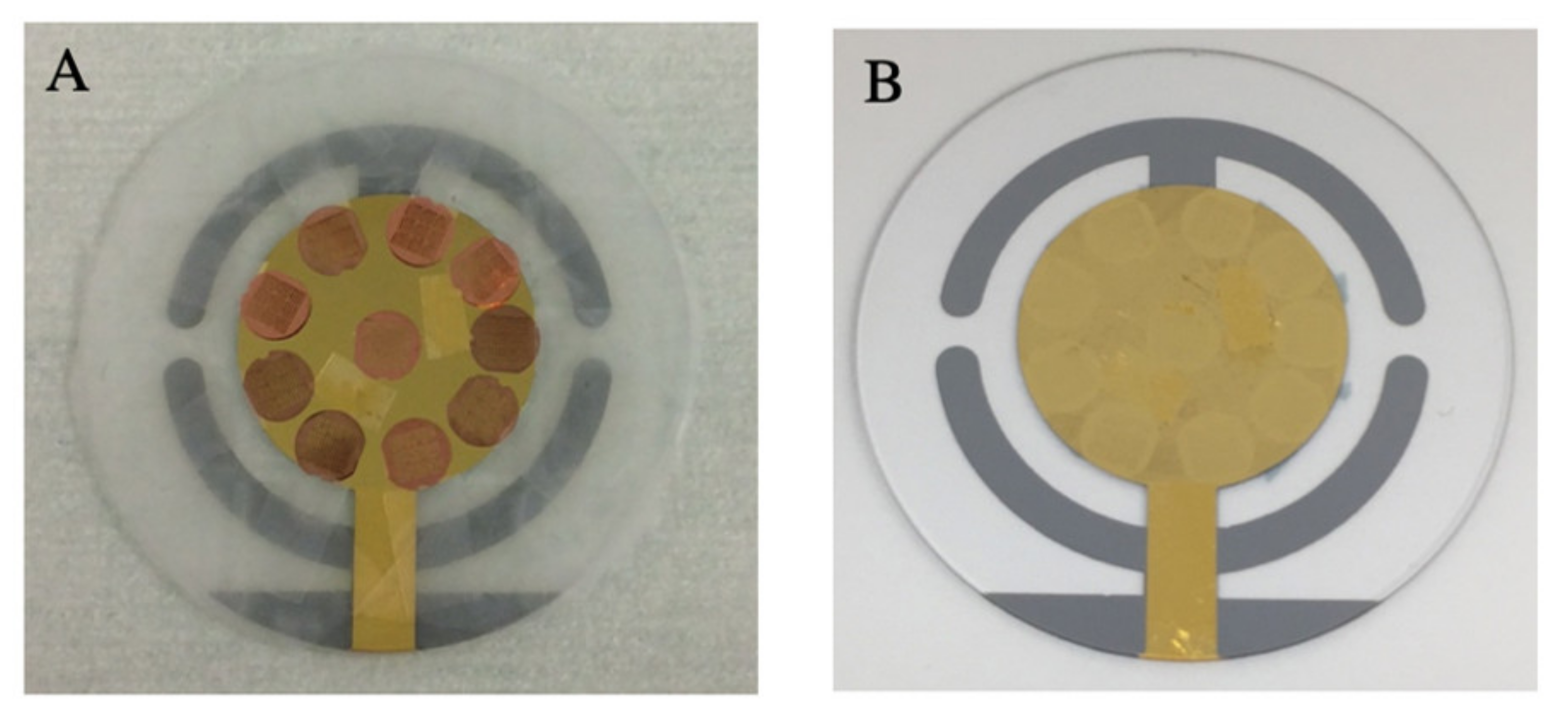 Crystals 11 00562 g002 Crystals 11 00562 g002