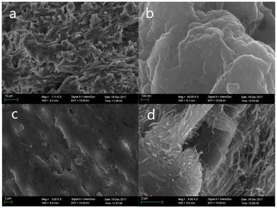 sheep Study of the Preferred Orientation of Hydroxyapatite in
