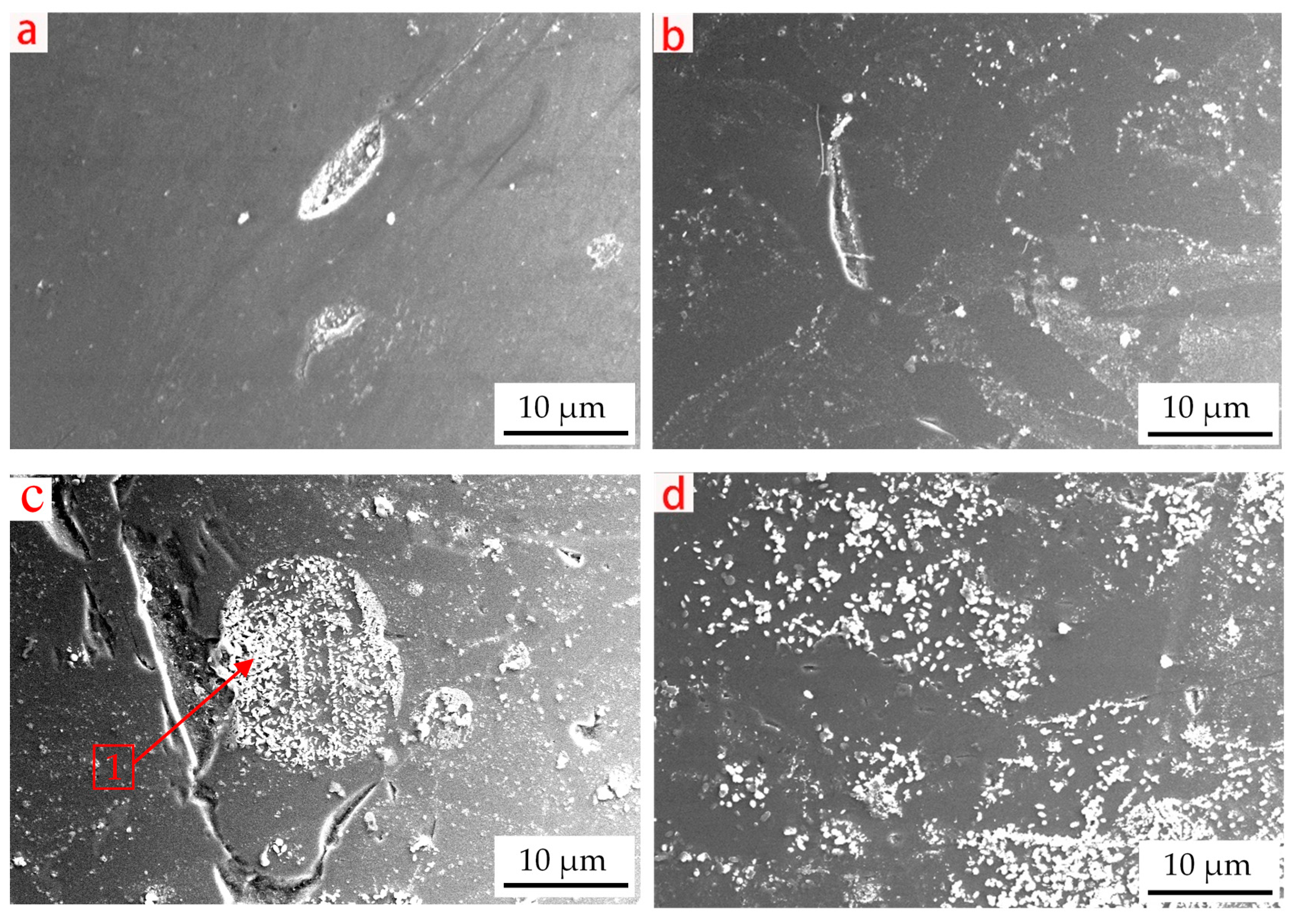Crystals 11 00579 g013