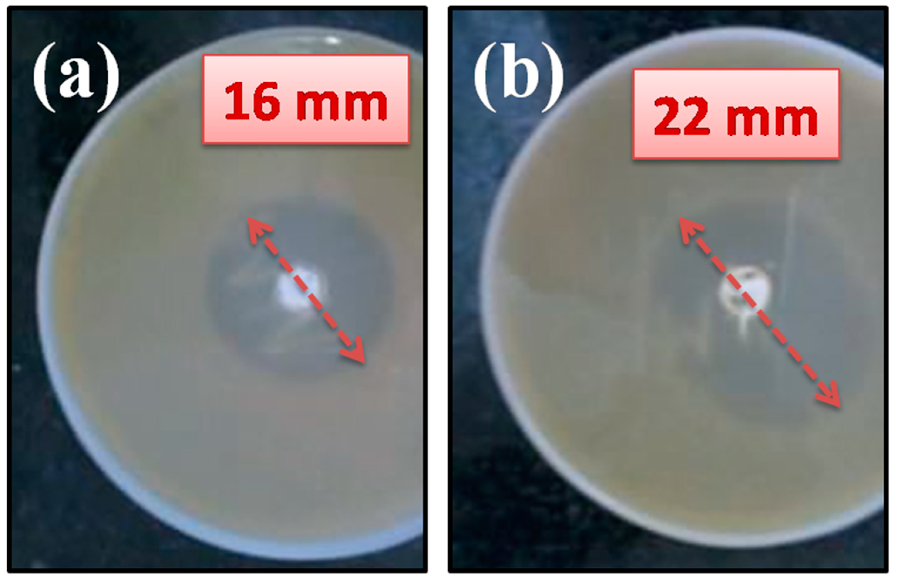 Crystals 11 00584 g005 Crystals 11 00584 g005
