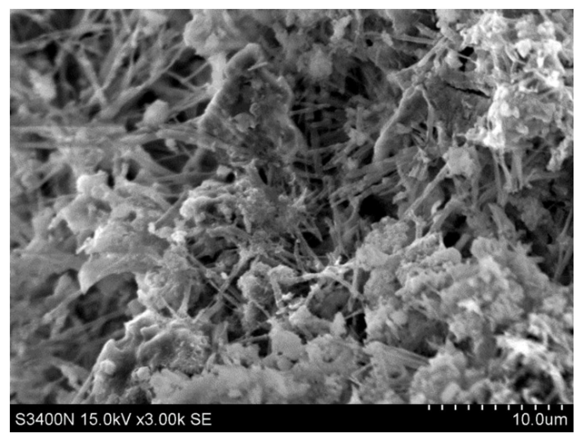 Crystals 11 00587 g016