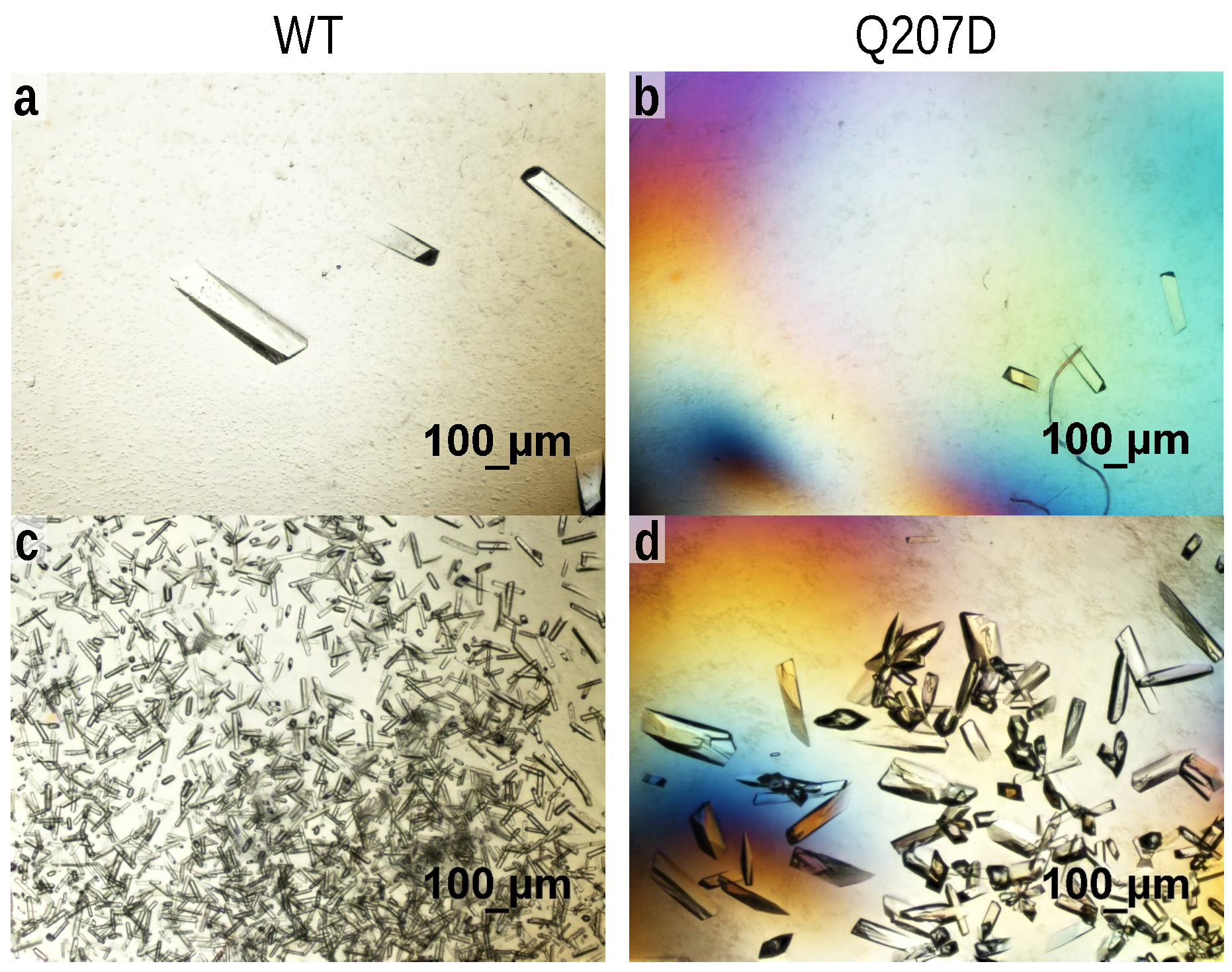 Crystals 11 00588 g002 Crystals 11 00588 g002
