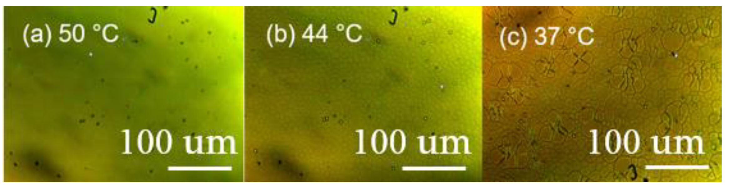 Crystals 11 00602 g004