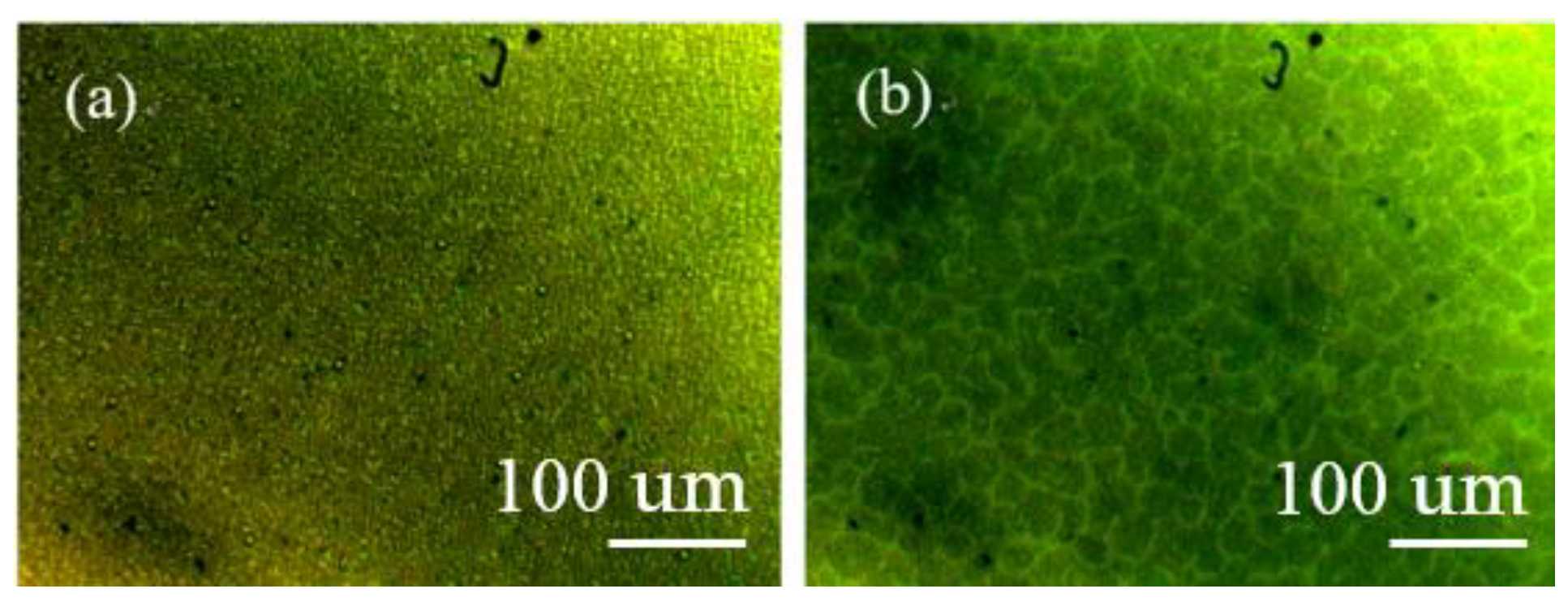 Crystals 11 00602 g007