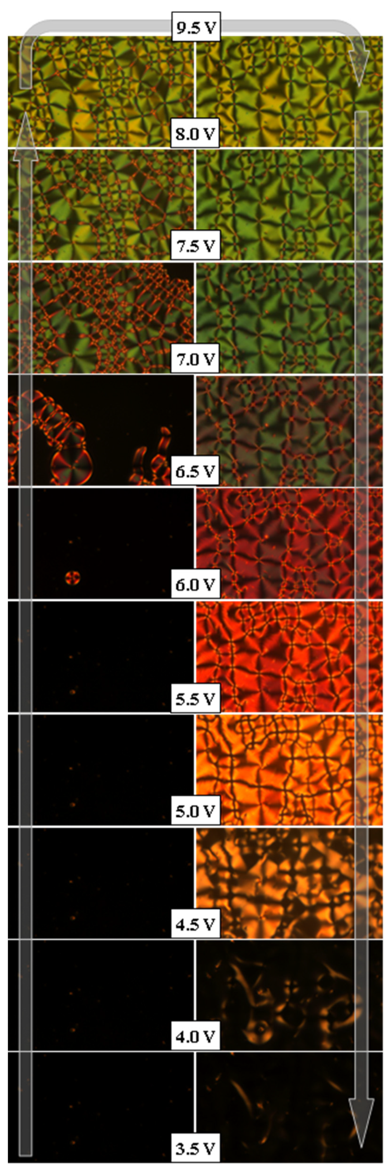 Crystals 11 00621 g009