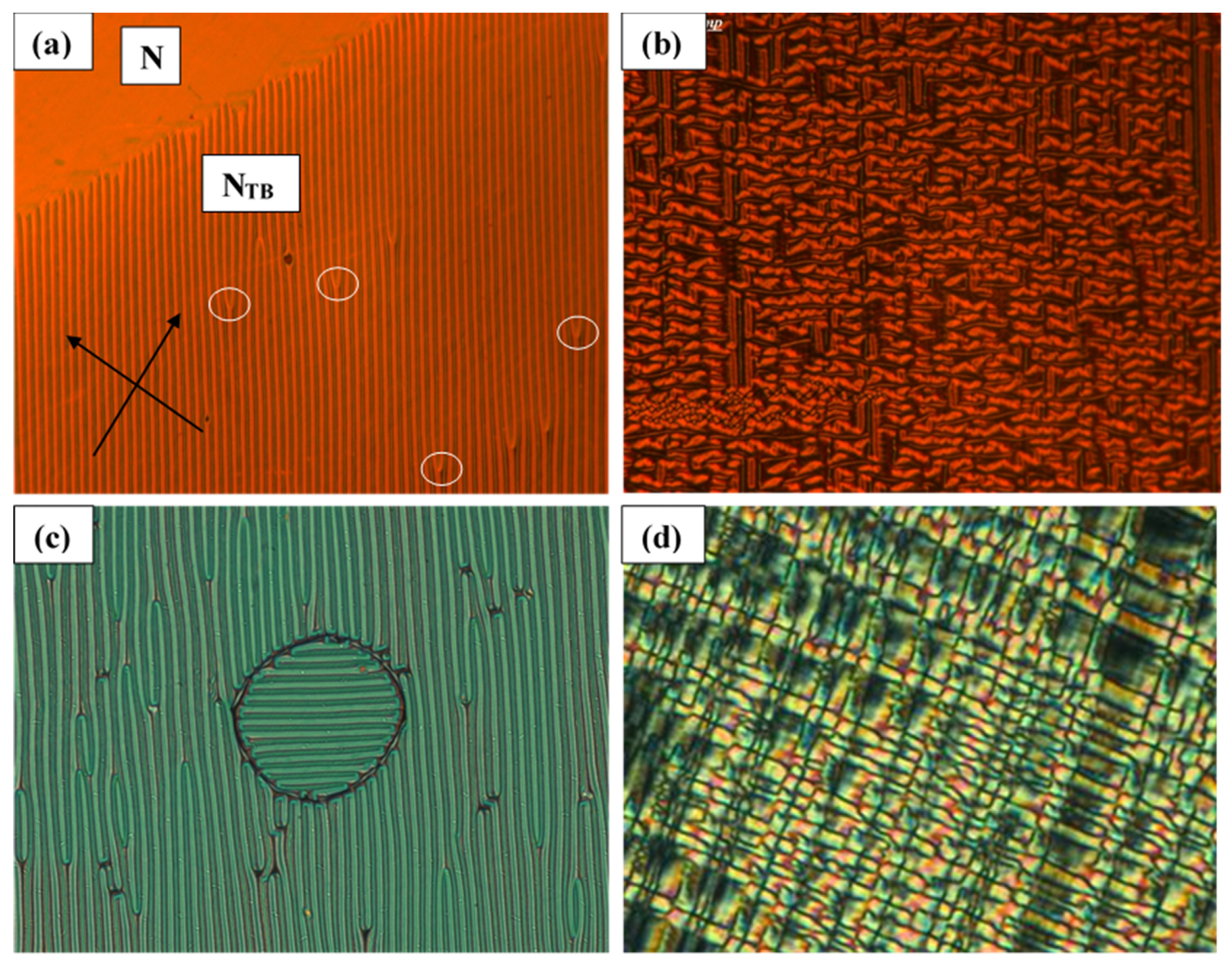Crystals 11 00621 g011