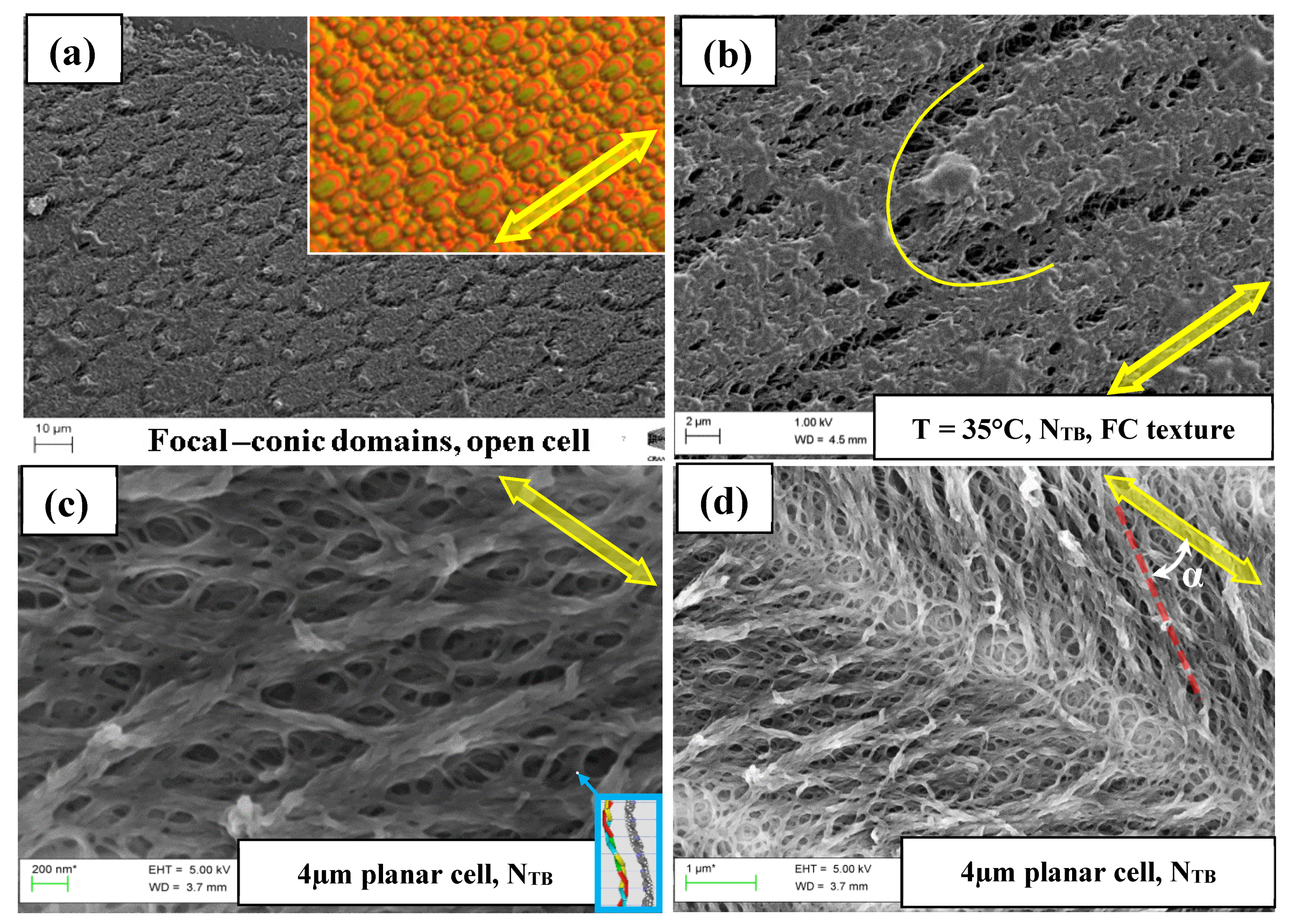 Crystals 11 00621 g014