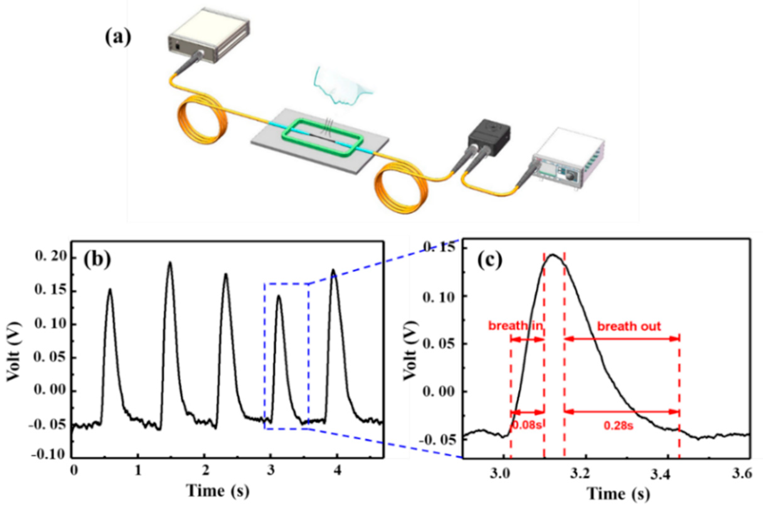 Crystals 11 00648 g010