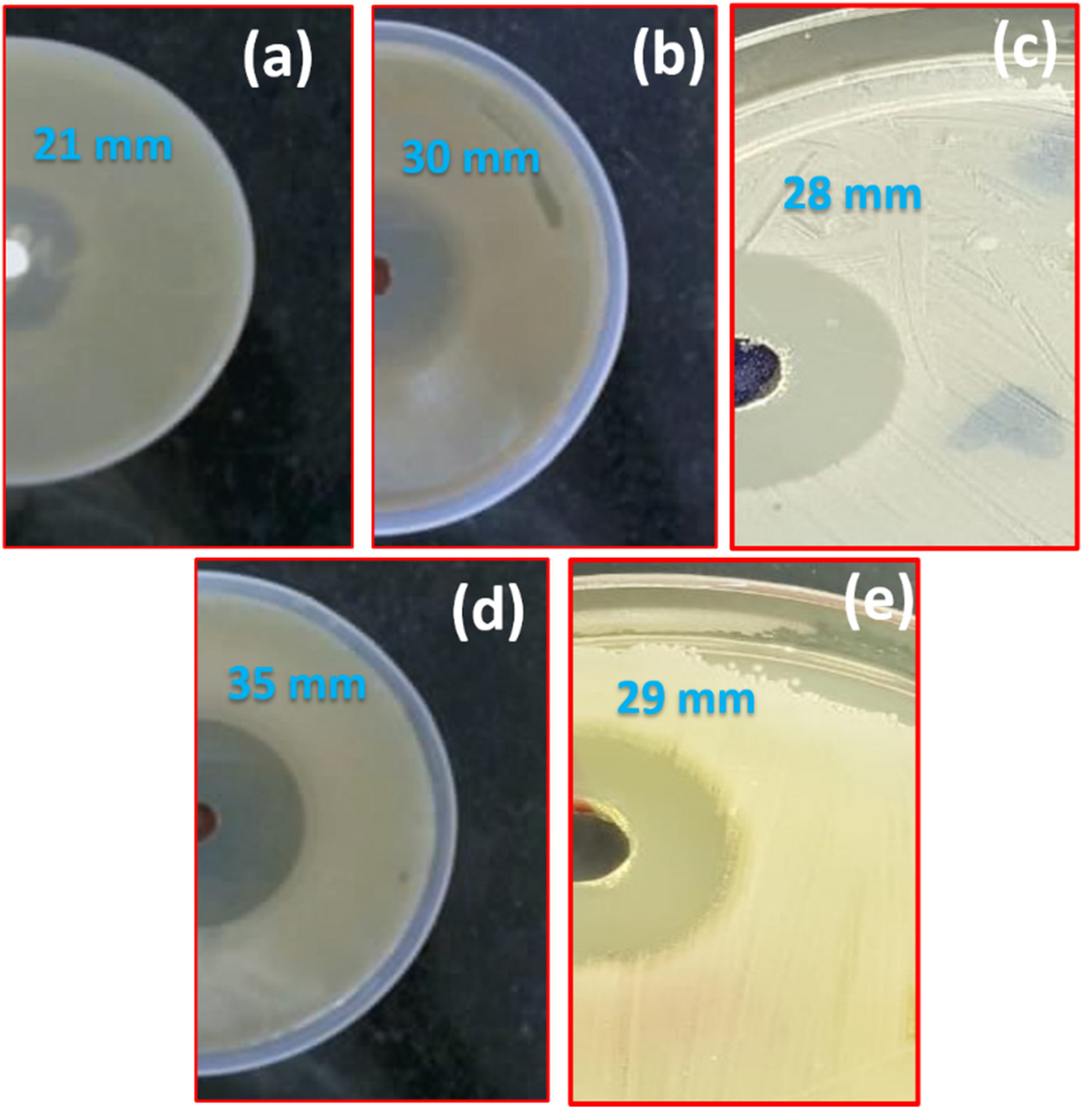 Crystals 11 00666 g004 Crystals 11 00666 g004