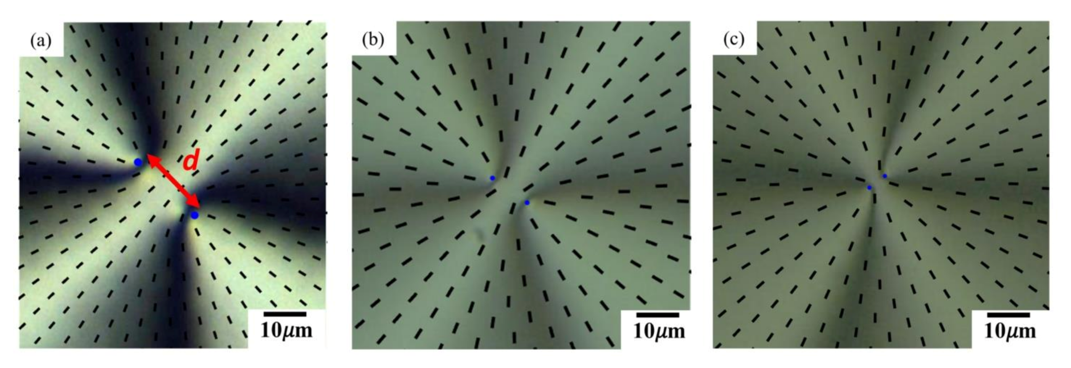 Crystals 11 00675 g004