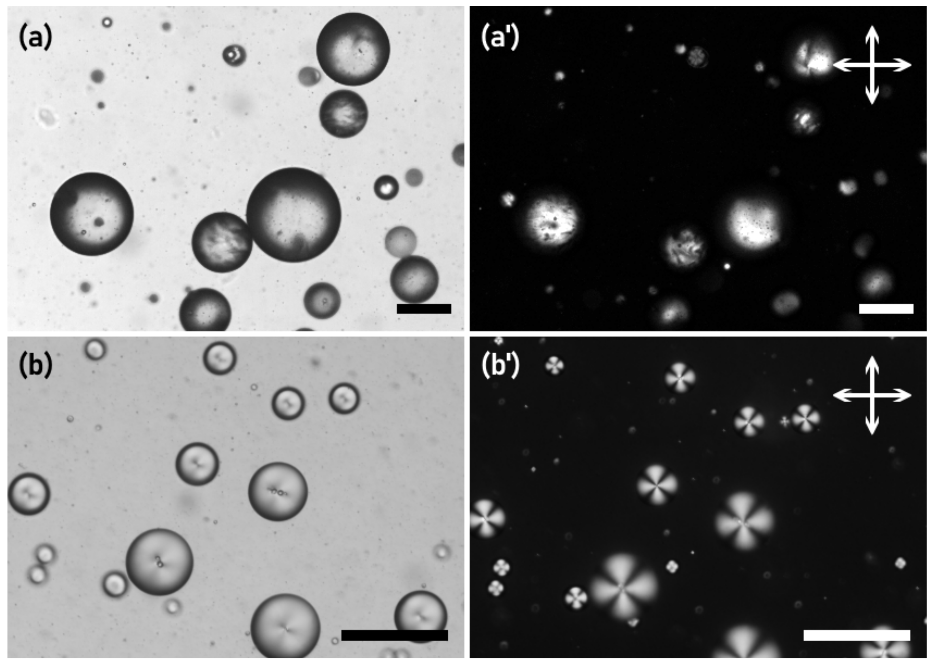 Crystals 11 00687 g003 Crystals 11 00687 g003