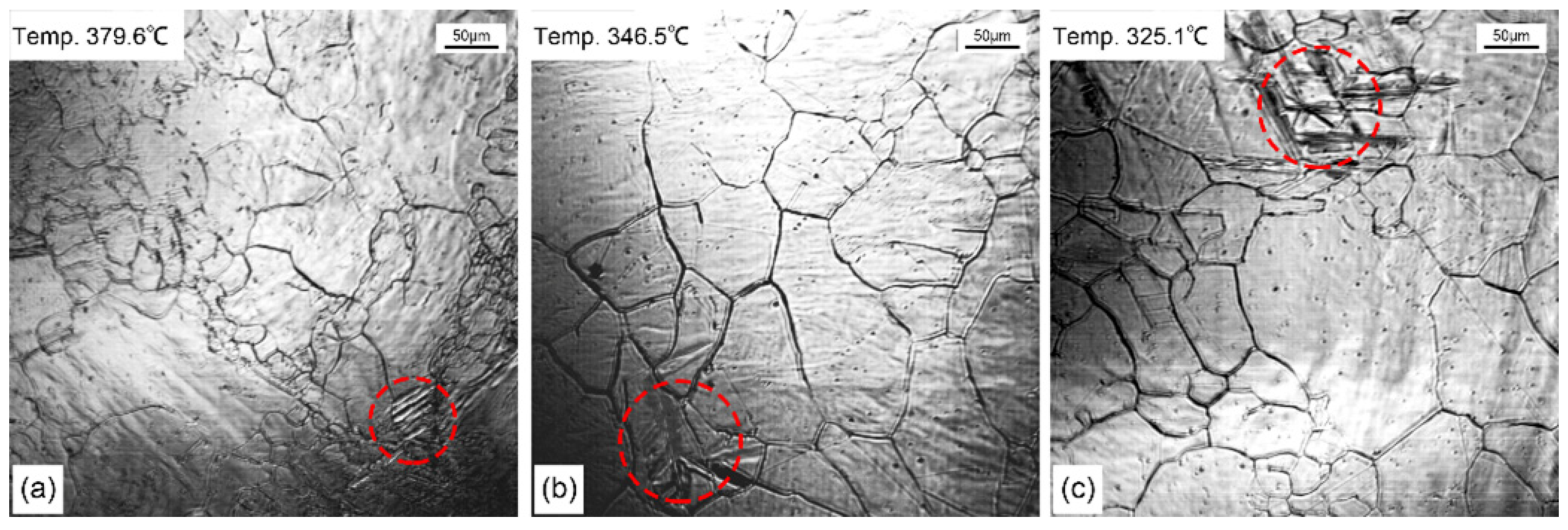 Crystals 11 00709 g008