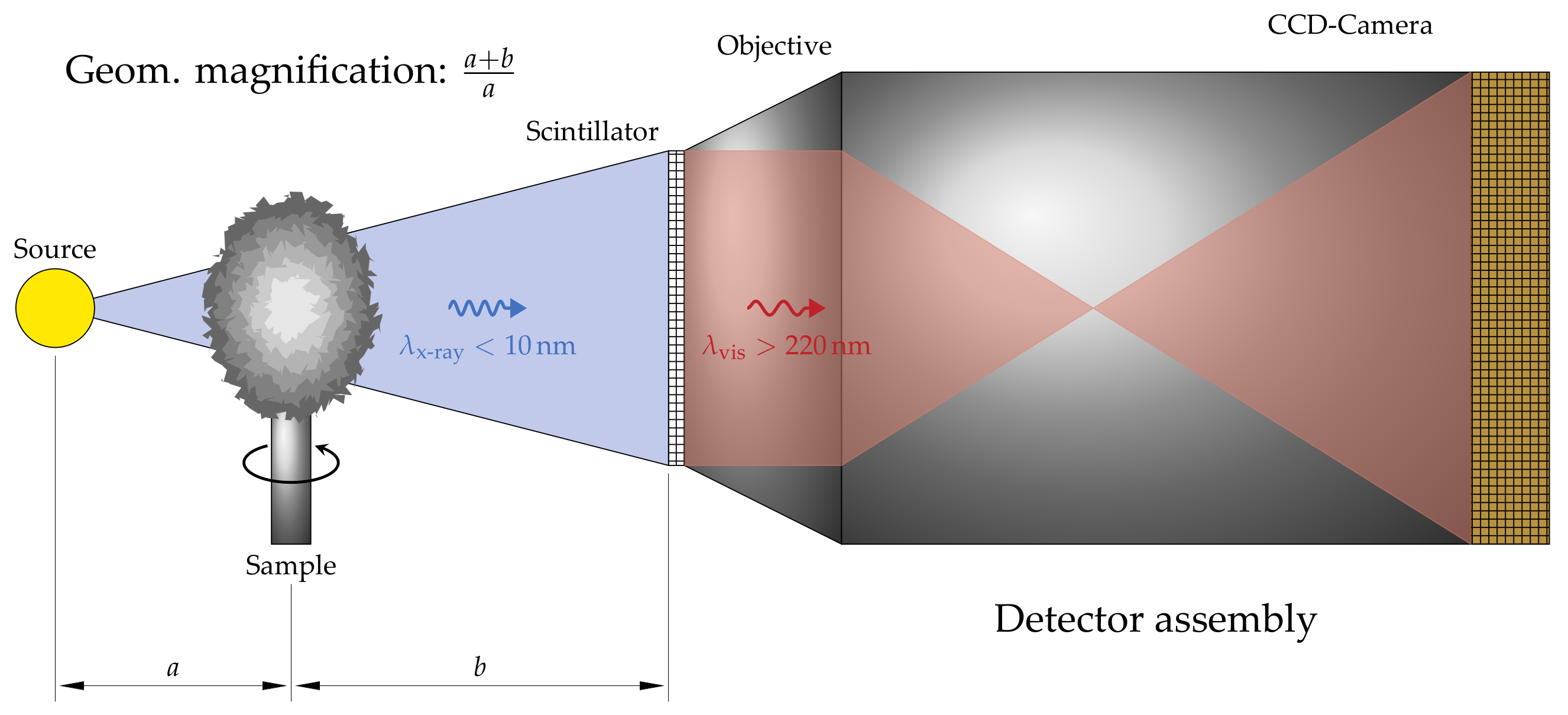 Crystals 11 00713 g003 550