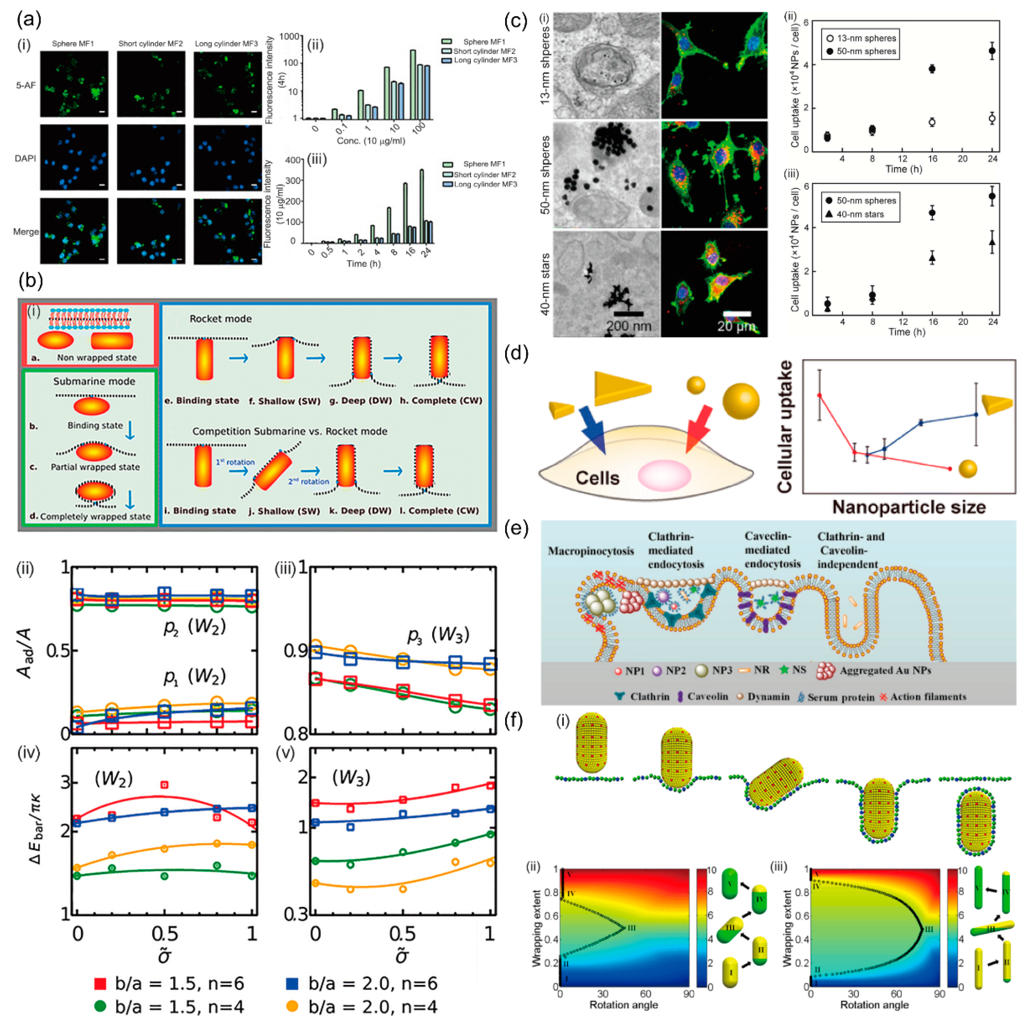 Crystals 11 00728 g001 550
