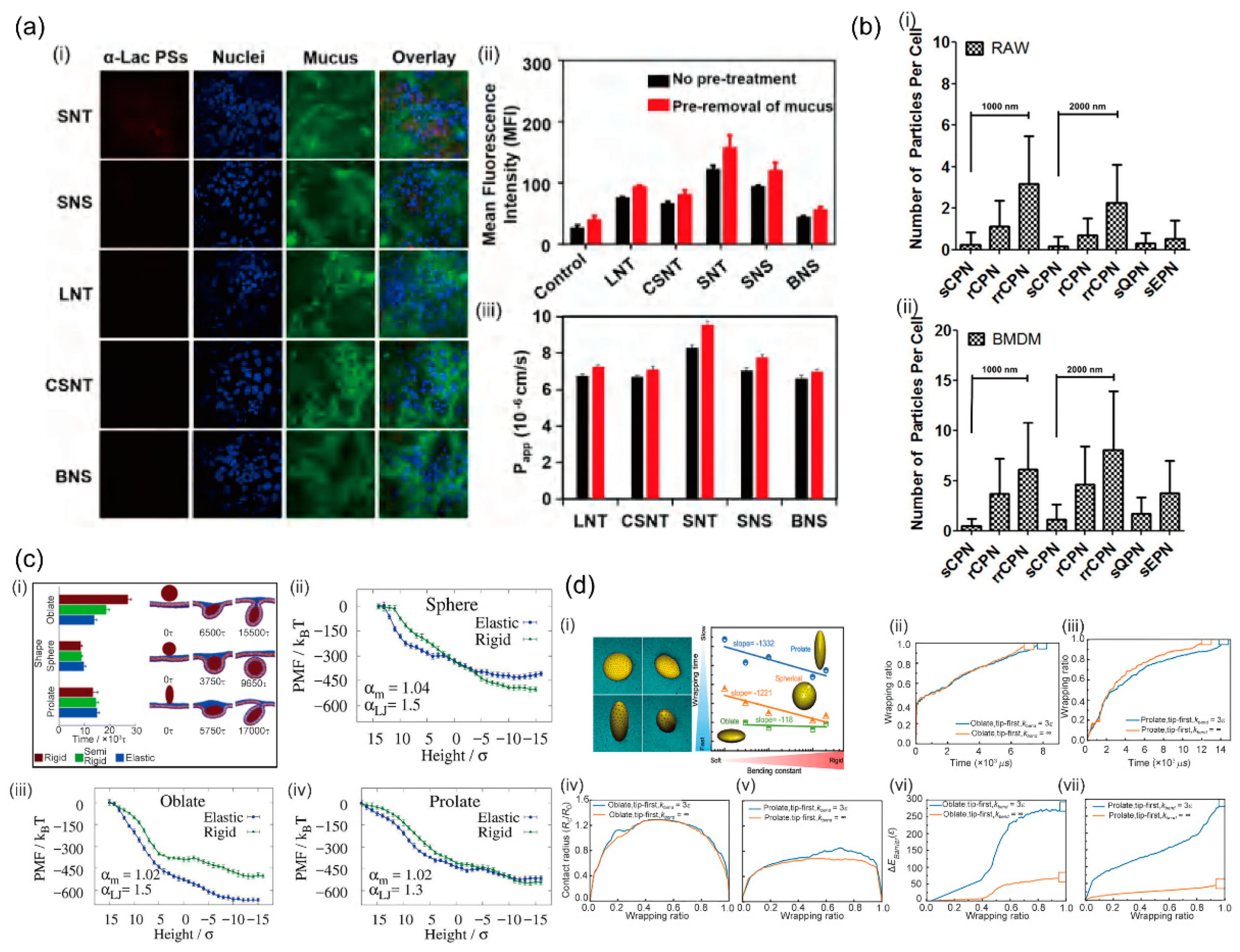 Crystals 11 00728 g003 550
