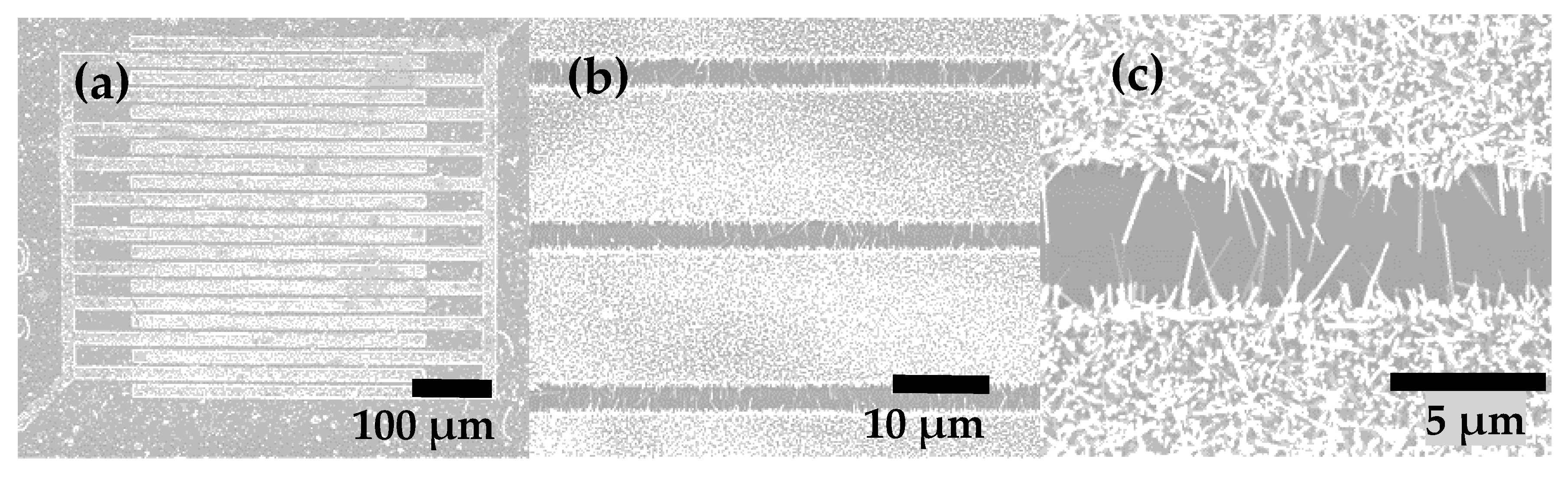 Crystals 11 00743 g004 550
