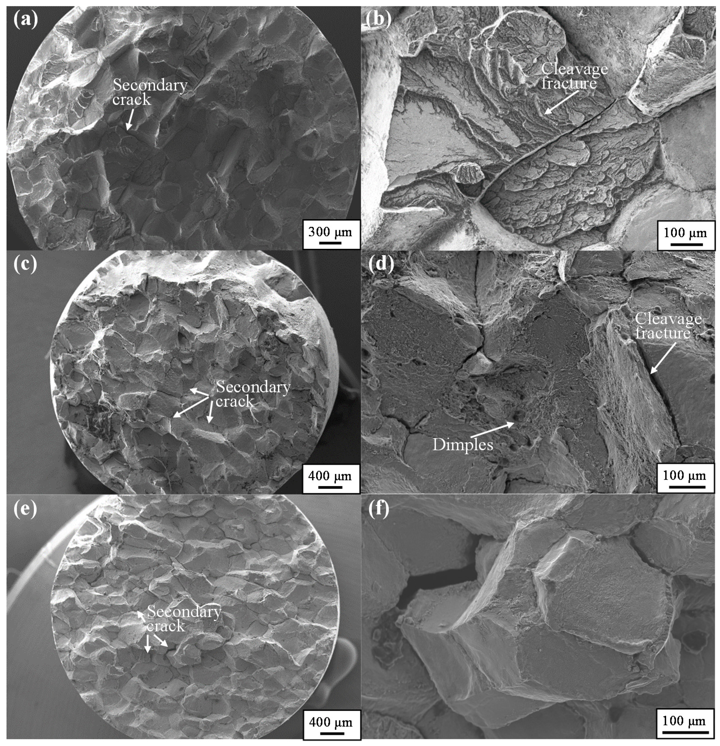 Crystals 11 00754 g011 550