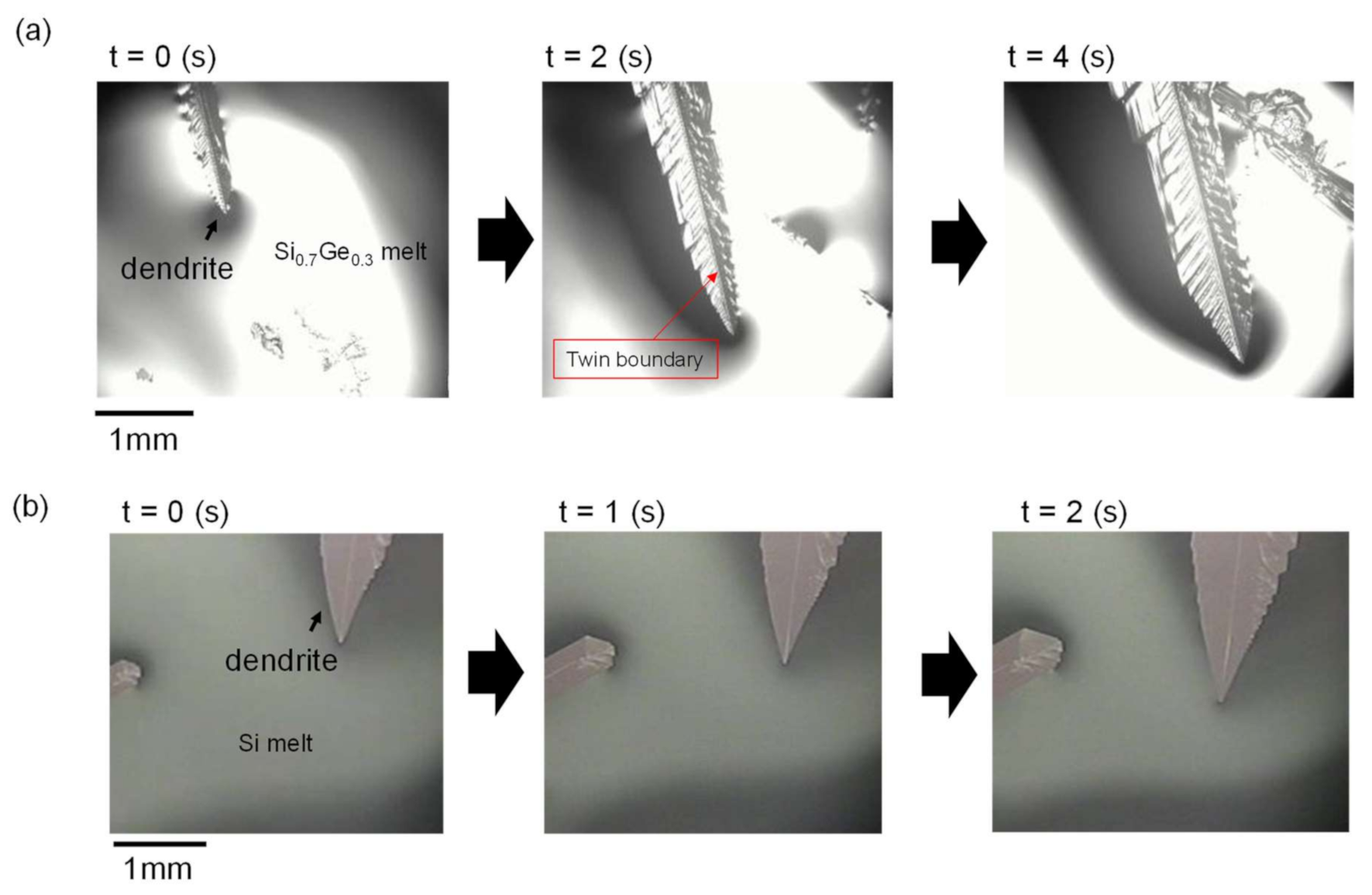 Crystals 11 00761 g002