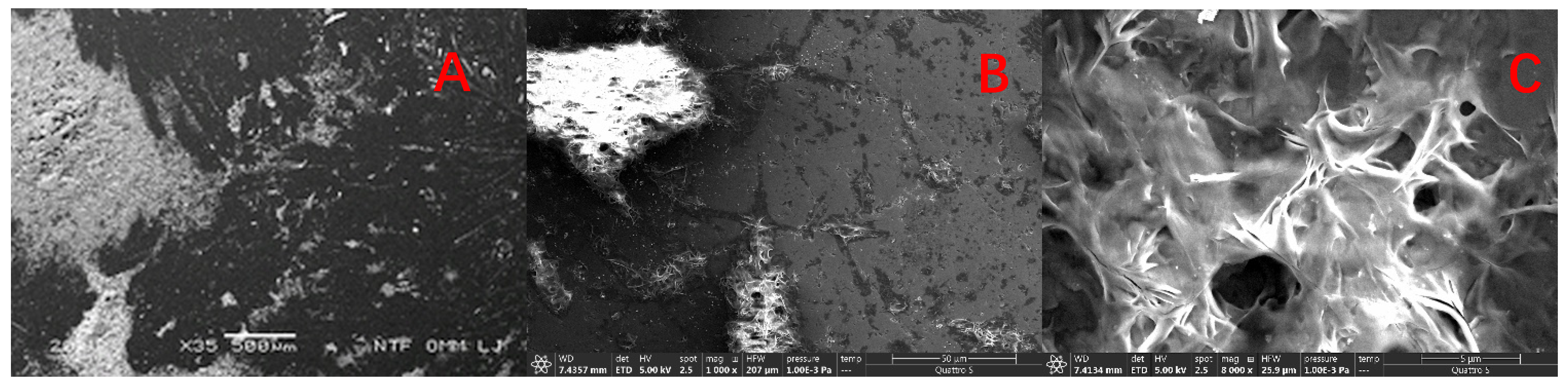 Crystals 11 00772 g002